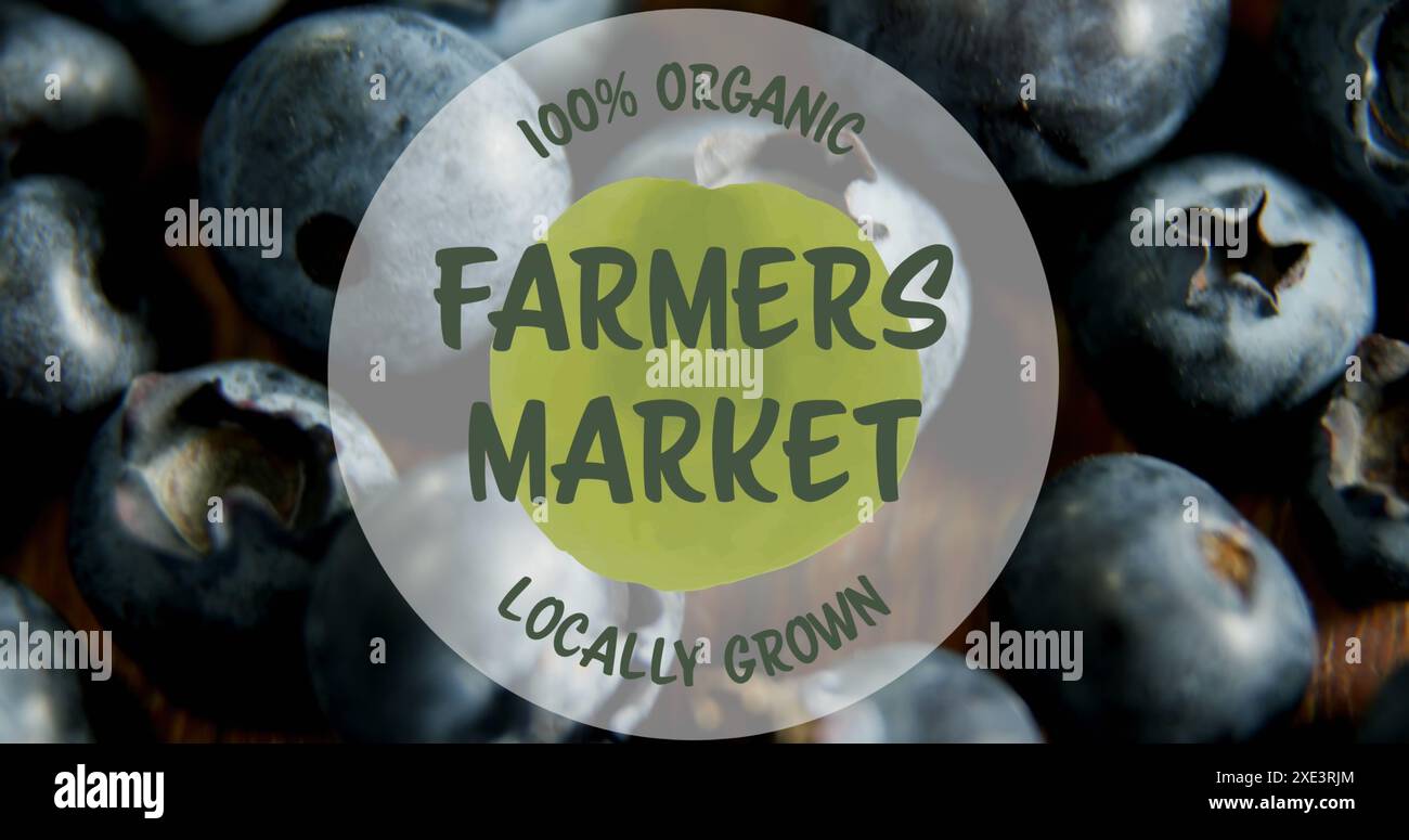 Image de 100 pour cent des agriculteurs commercialisent une bannière textuelle cultivée localement contre un gros plan de baies bleues Banque D'Images