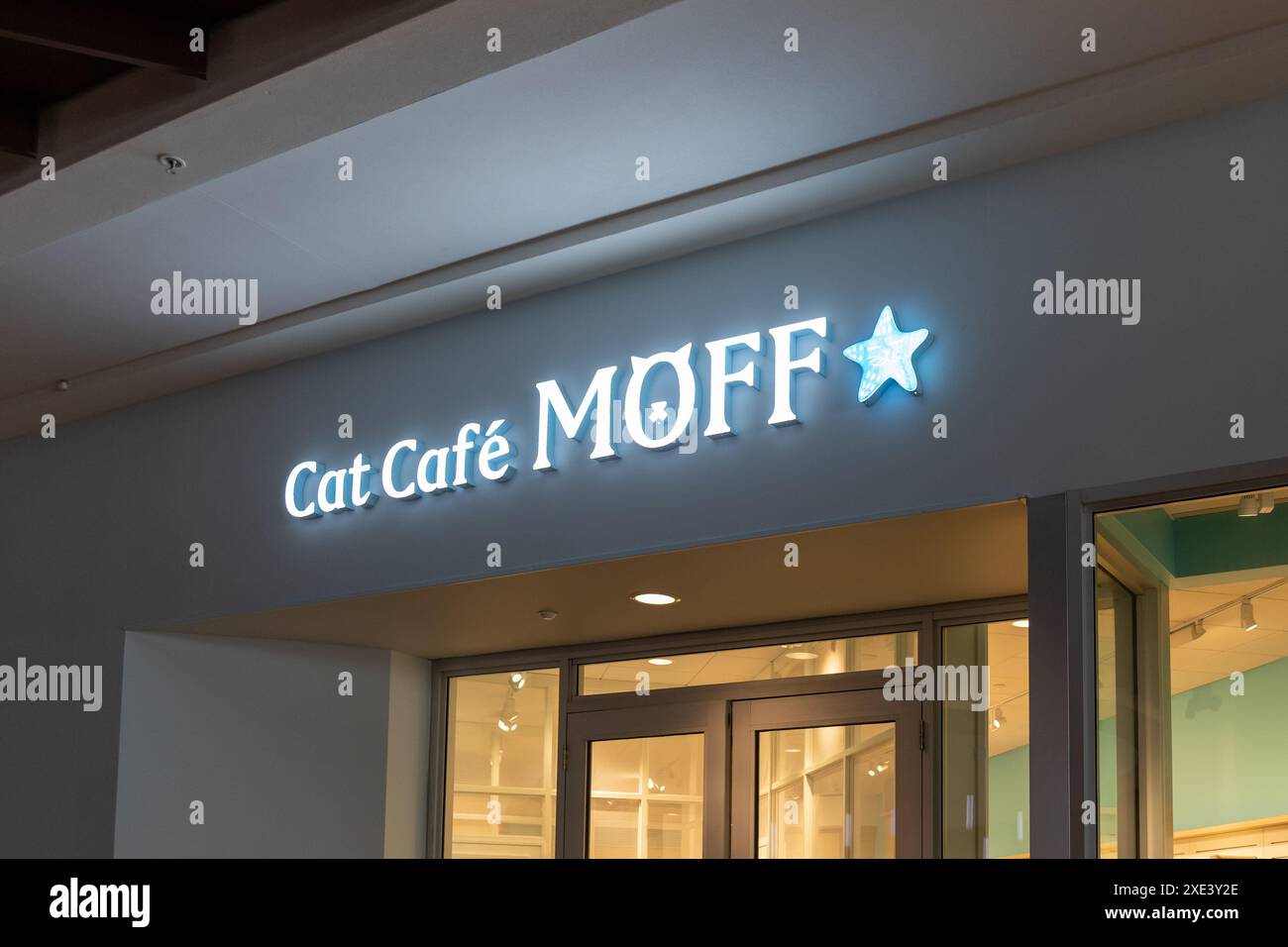 Honolulu, HI, États-Unis - 14 janvier 2024 : le MOFF du Café Cat au marché international à Honolulu, Hawaï, États-Unis. Banque D'Images