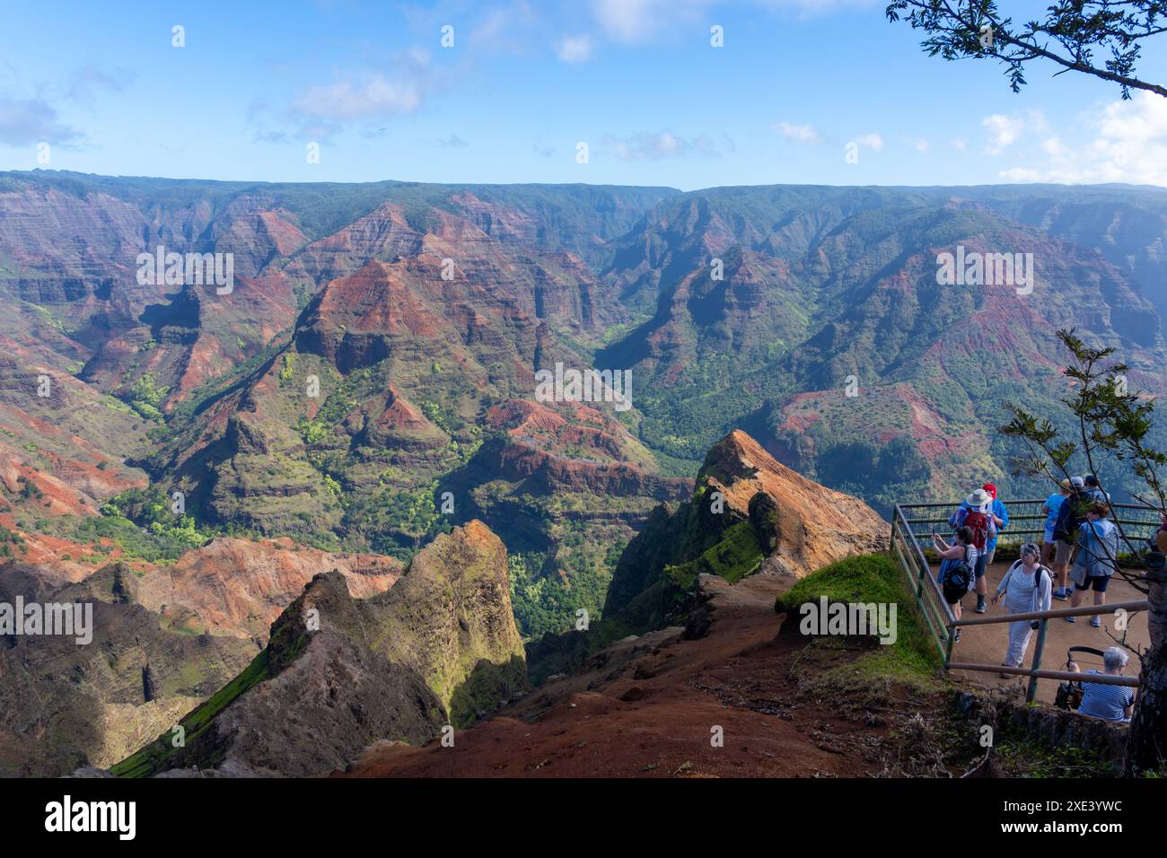 Waimea, Hawaï, États-Unis - 18 janvier 2024 : visiteurs du parc d'État de Waimea Canyon, Waimea, Hawaï, États-Unis. Banque D'Images