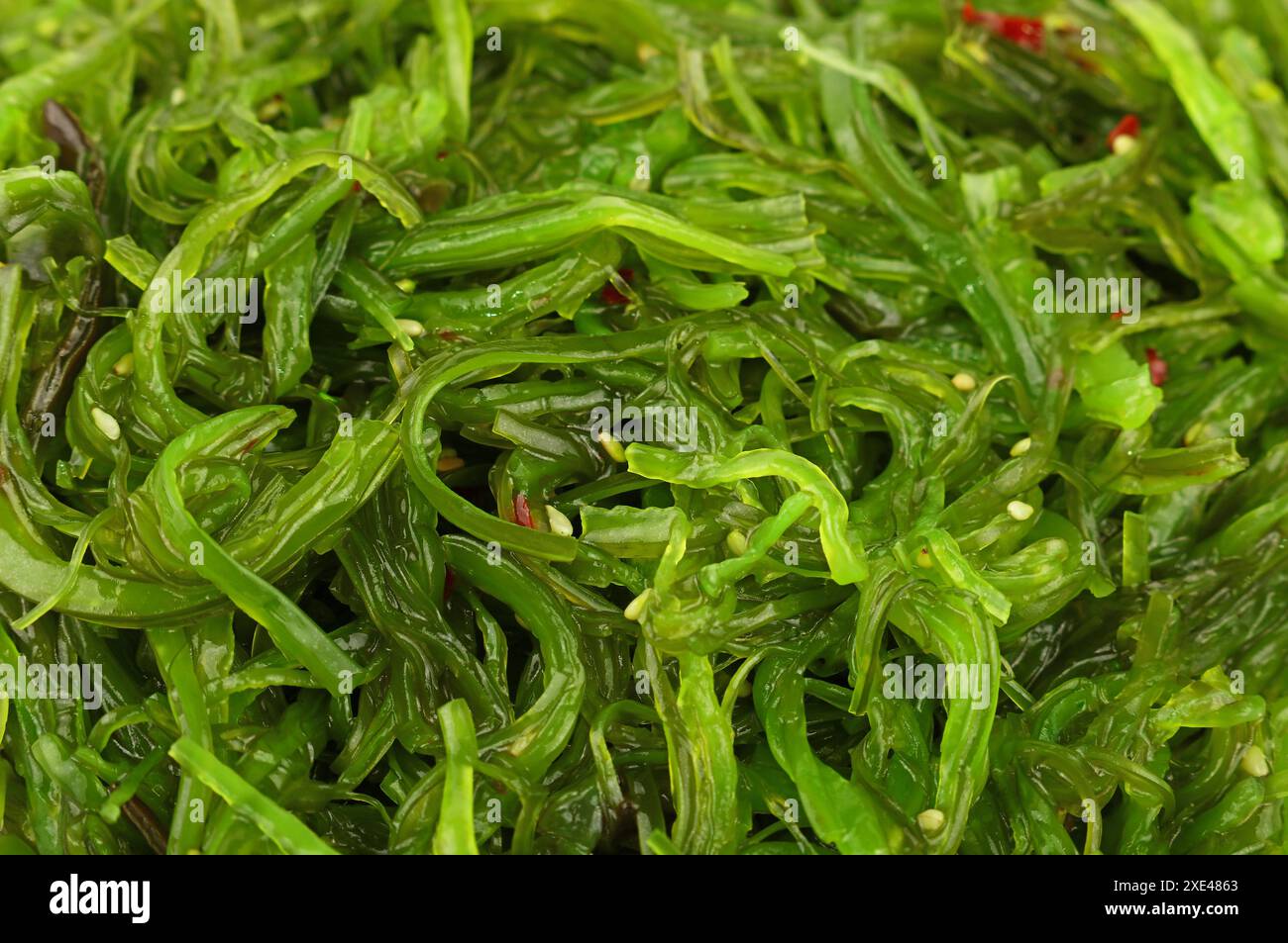 Close up fond de salade d'algues wakame vert Banque D'Images