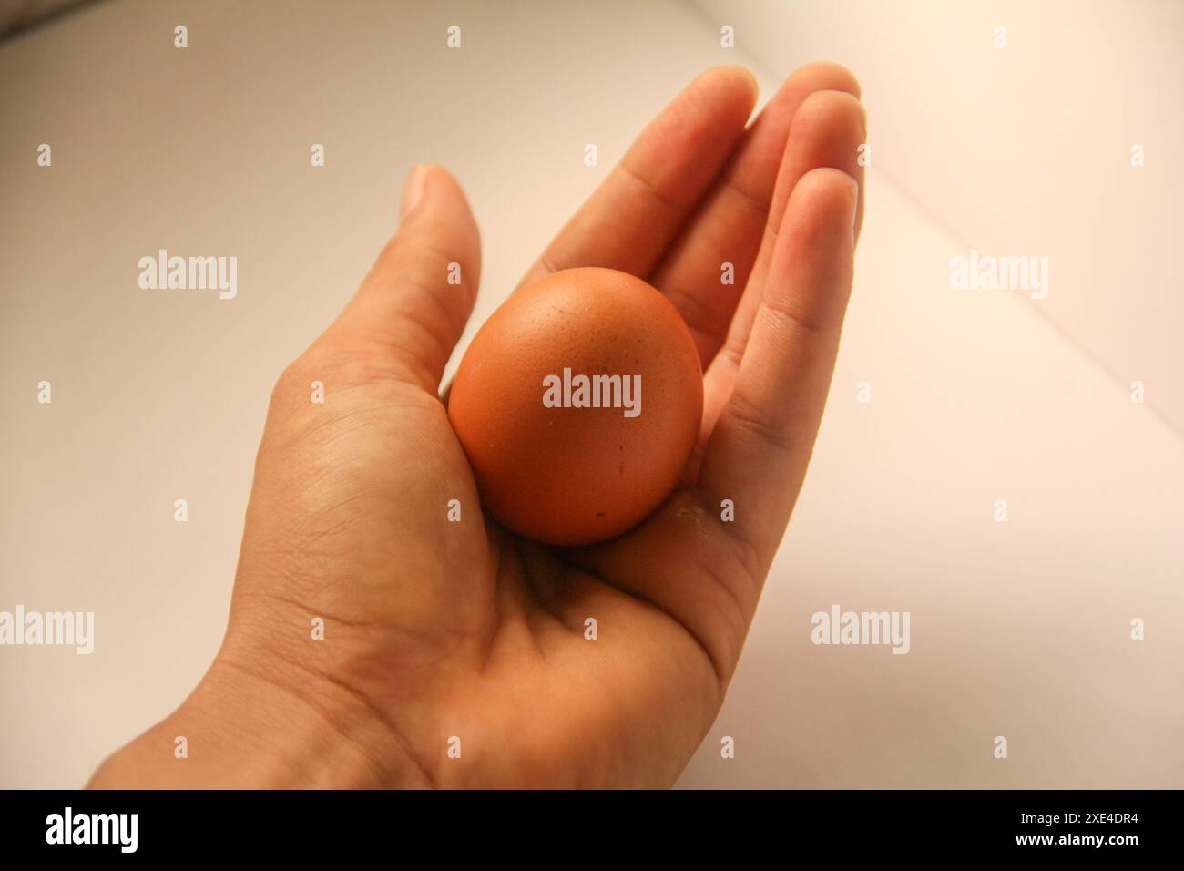 Oeuf de poulet isolé sur fond blanc Banque D'Images