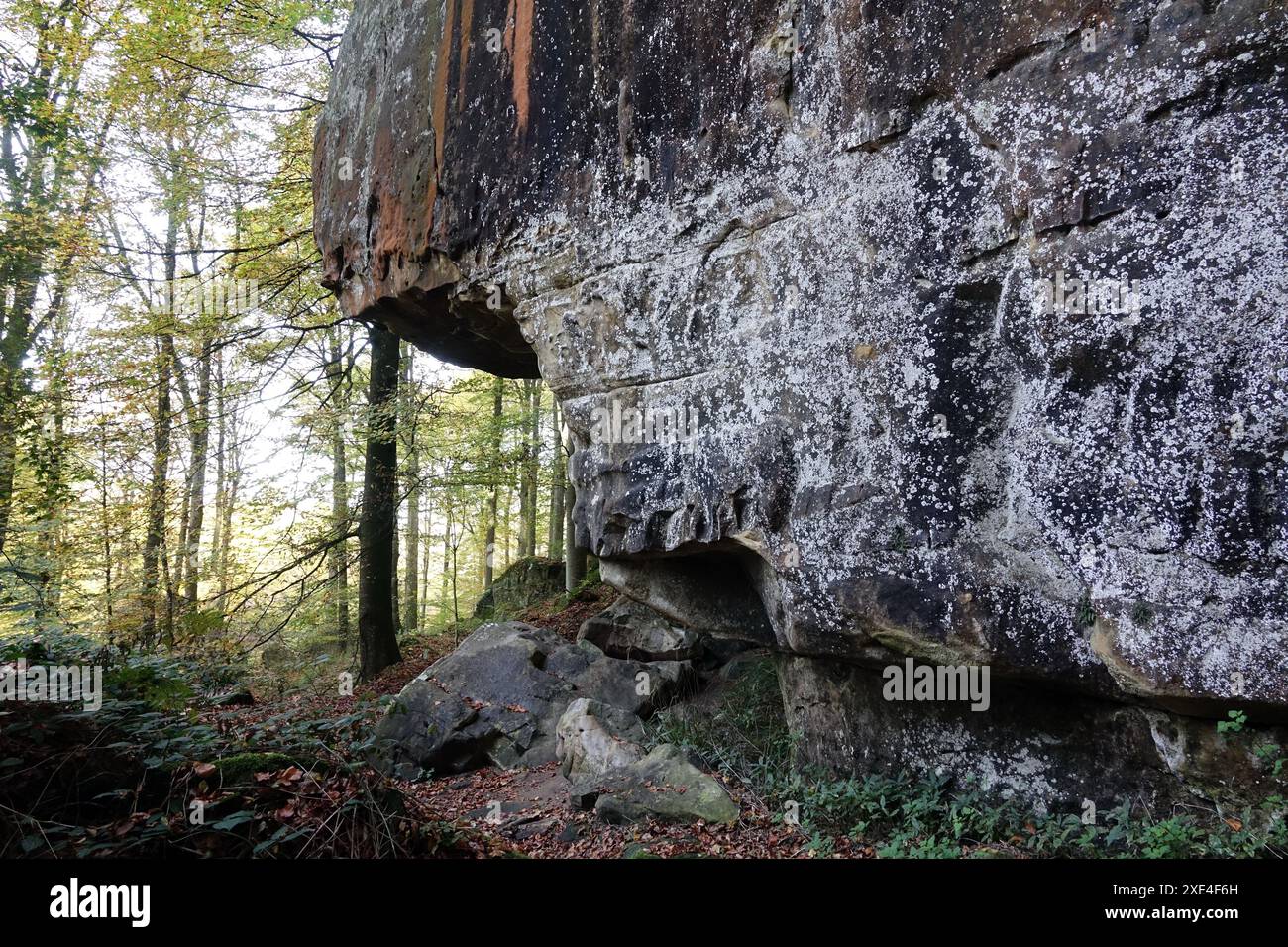 Rochers dans le Muellerthal Banque D'Images