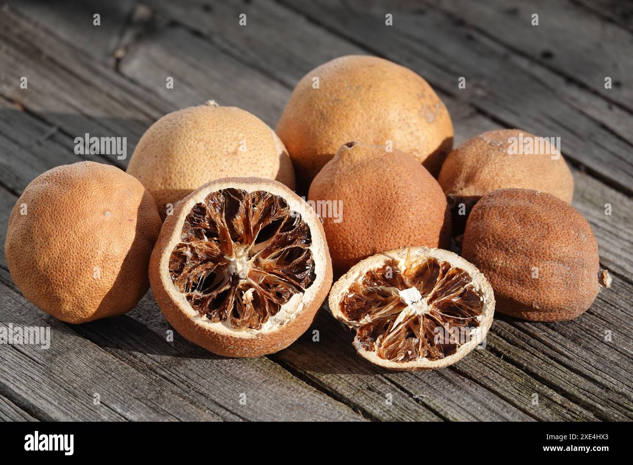 Agrumes, Citrusfruechte, getrocknet, séché Banque D'Images
