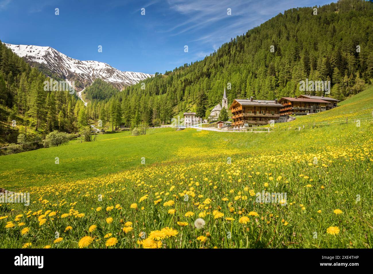 Géographie / voyage, Autriche, Prairie d'été et fermes de montagne historiques à Kalkstein in Villgratental, DROITS-SUPPLÉMENTAIRES-AUTORISATION-INFO-NOT-AVAILABLE Banque D'Images