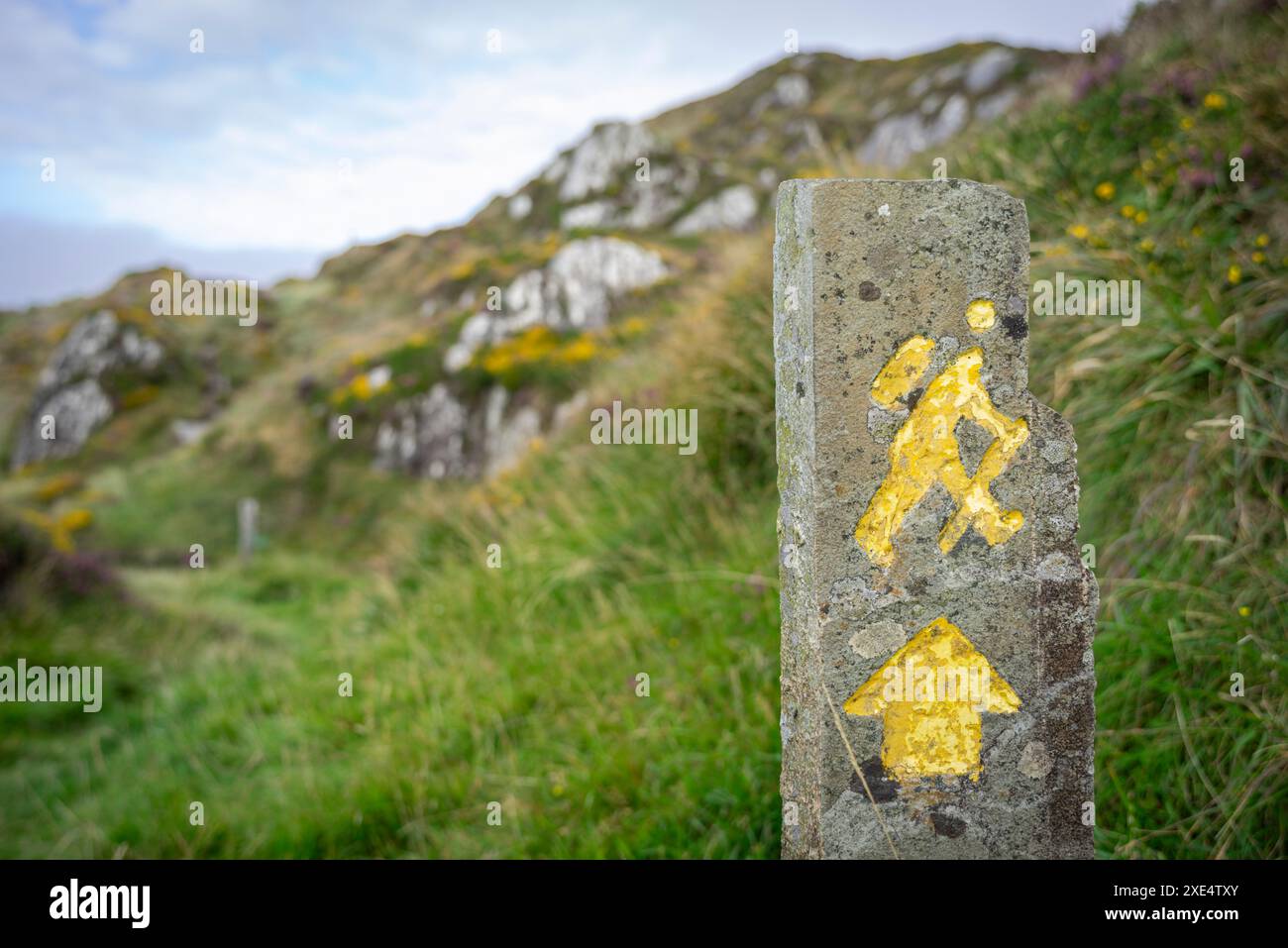 Poste d'orientation sur le sentier Sheep's Head Peninsula Banque D'Images