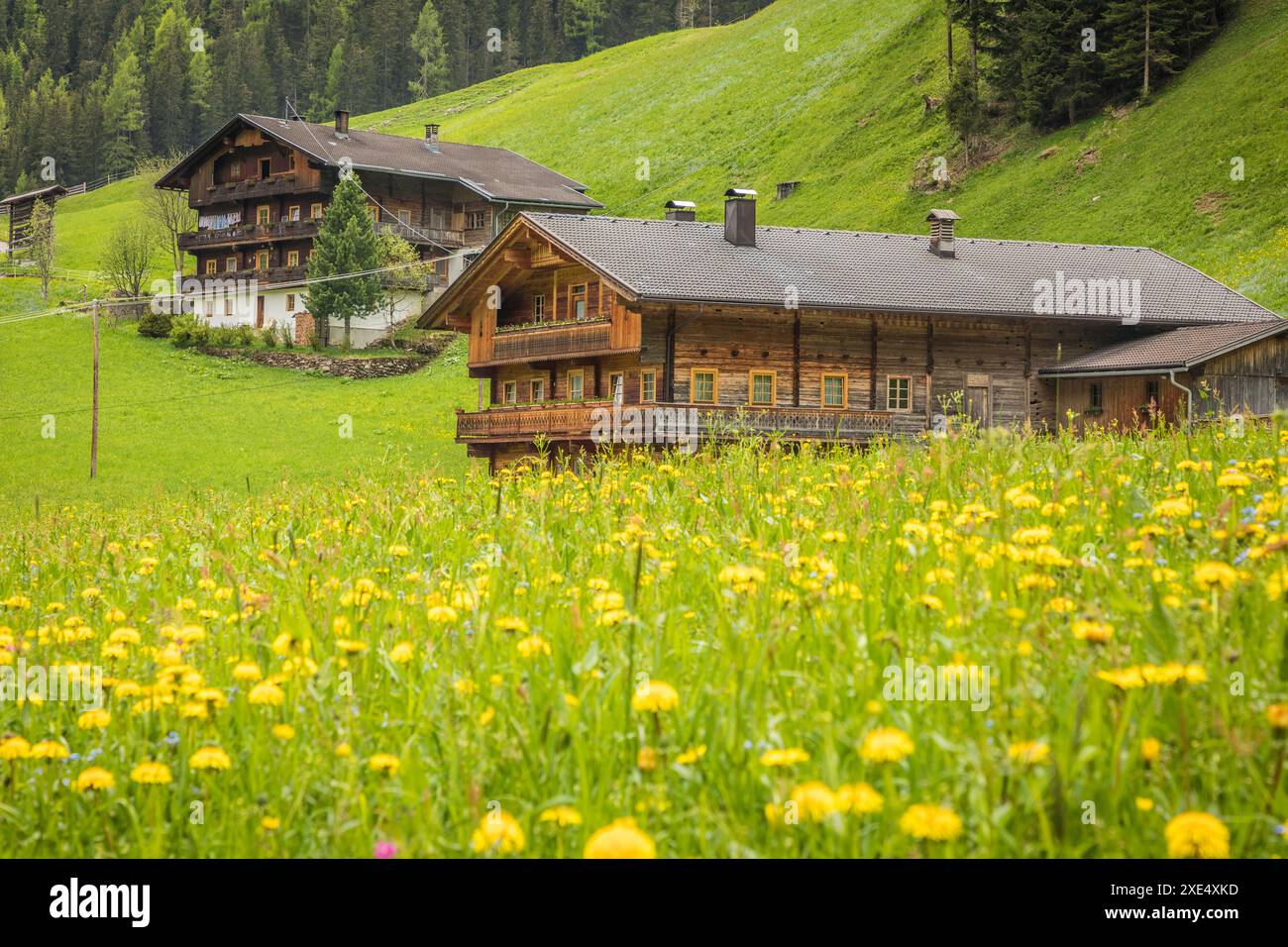 Géographie / voyage, Autriche, Prairies d'été et fermes de montagne à Arntal, Villgratental, ADDITIONAL-RIGHTS-CLEARANCE-INFO-NOT-AVAILABLE Banque D'Images