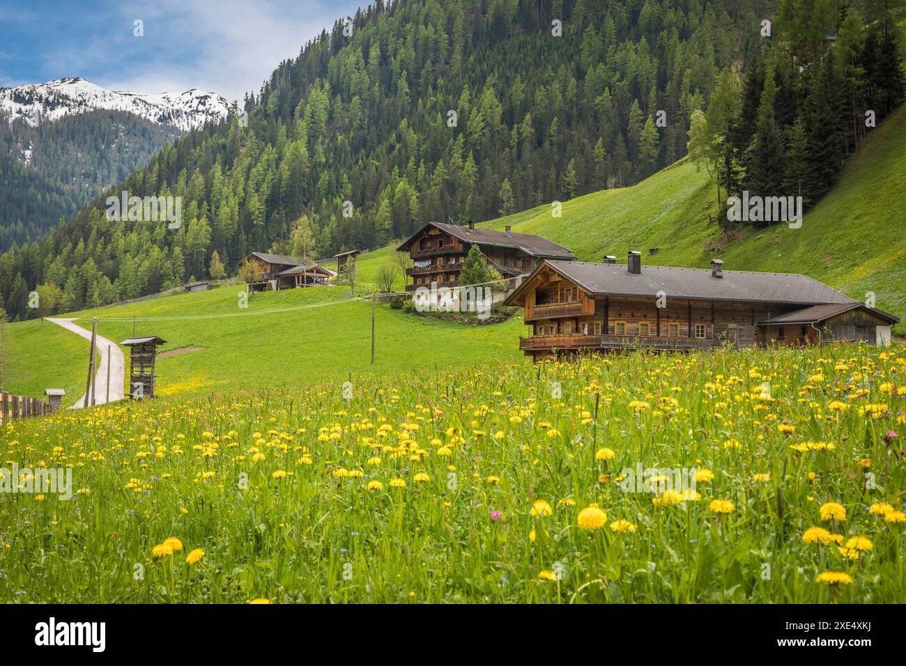 Géographie / voyage, Autriche, Prairies d'été et fermes de montagne à Arntal, Villgratental, ADDITIONAL-RIGHTS-CLEARANCE-INFO-NOT-AVAILABLE Banque D'Images