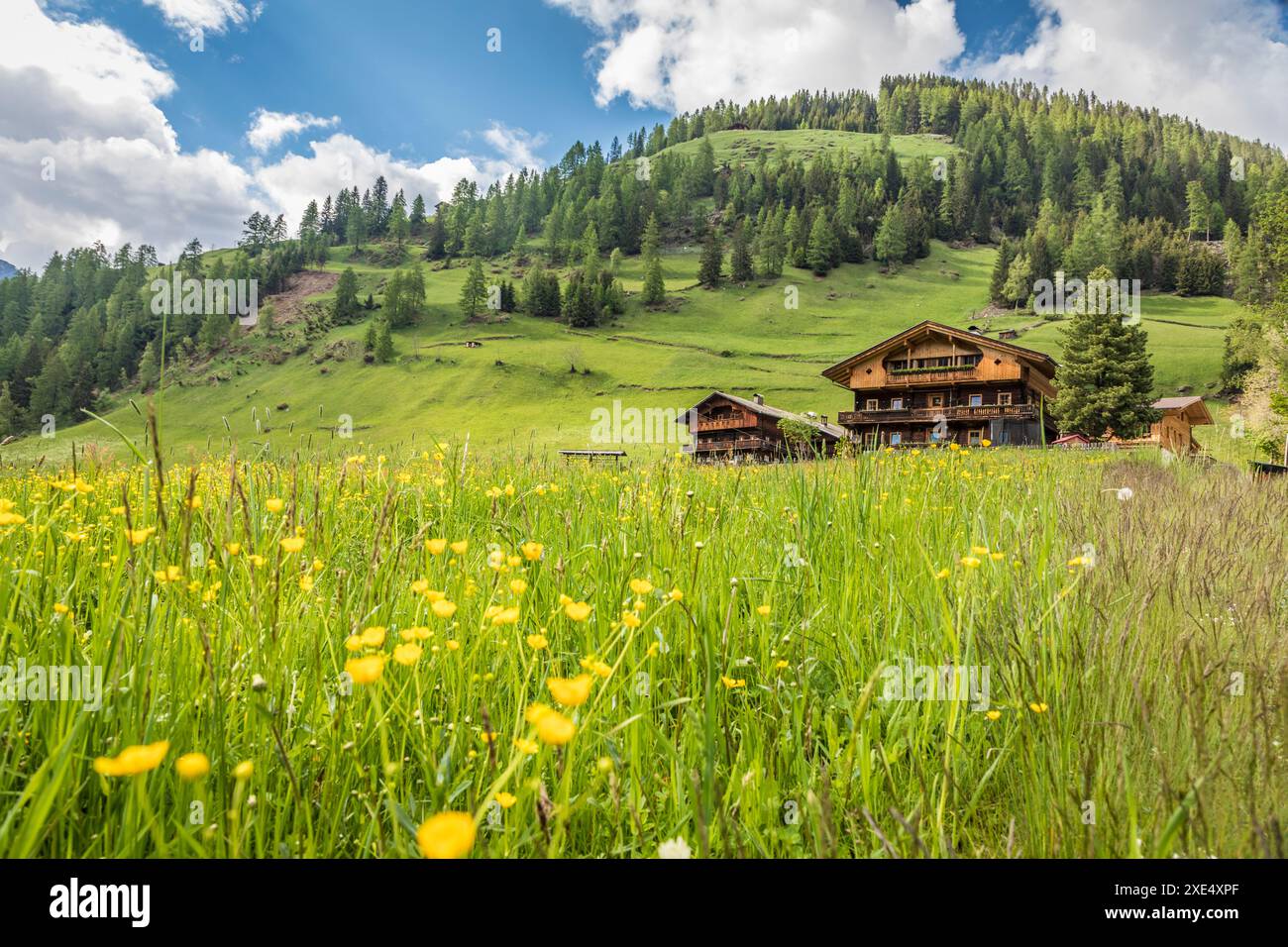 Géographie / voyage, Autriche, Prairies d'été et fermes de montagne à Arntal, Villgratental, ADDITIONAL-RIGHTS-CLEARANCE-INFO-NOT-AVAILABLE Banque D'Images