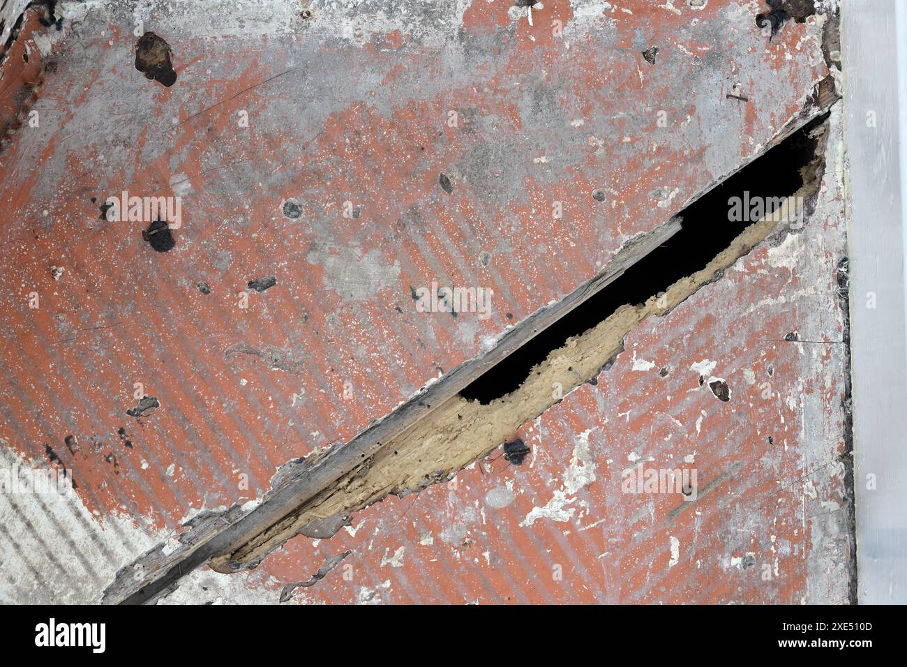 Escaliers en bois avec des dommages causés par des vers des bois dans une propriété locative, Royaume-Uni Banque D'Images