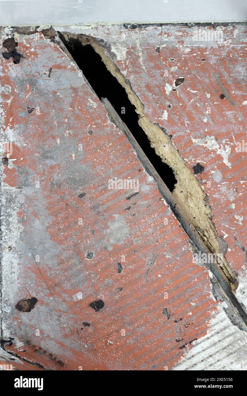 Escaliers en bois avec des dommages causés par des vers des bois dans une propriété locative, Royaume-Uni Banque D'Images