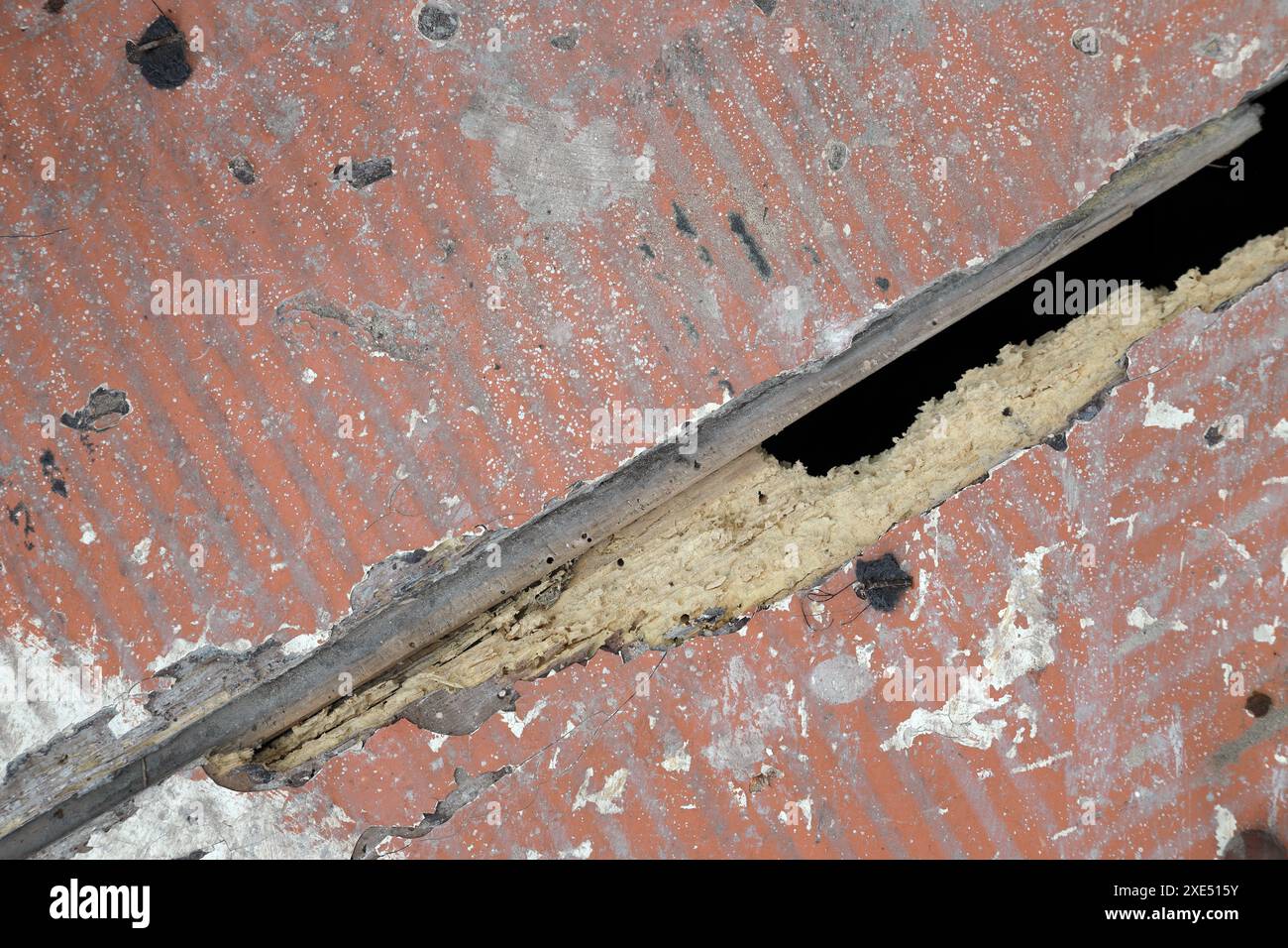 Escaliers en bois avec des dommages causés par des vers des bois dans une propriété locative, Royaume-Uni Banque D'Images