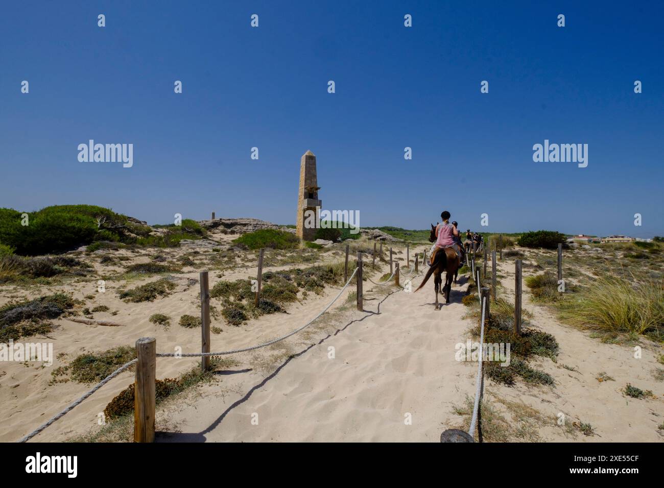 Escursion a caballo por las dunas Banque D'Images
