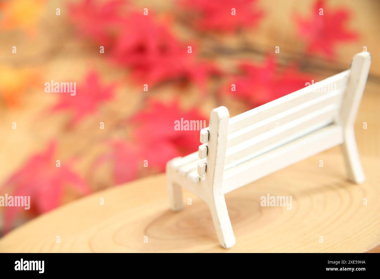Chaise en bois et feuilles d'automne Banque D'Images