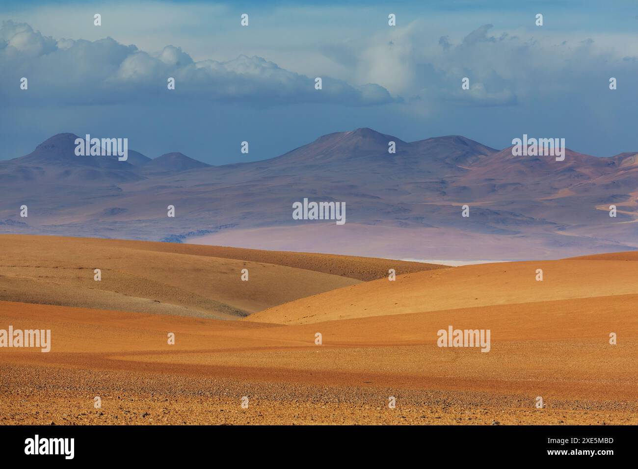 Desierto de Salvador DalÃ­ est un désert pierreux au milieu du parc national de faune andine Eduardo Avaroa en Bolivie Banque D'Images