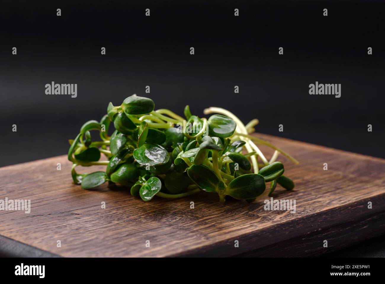 Pousses fraîches ou microgreens de tournesol sur planche à découper en bois Banque D'Images