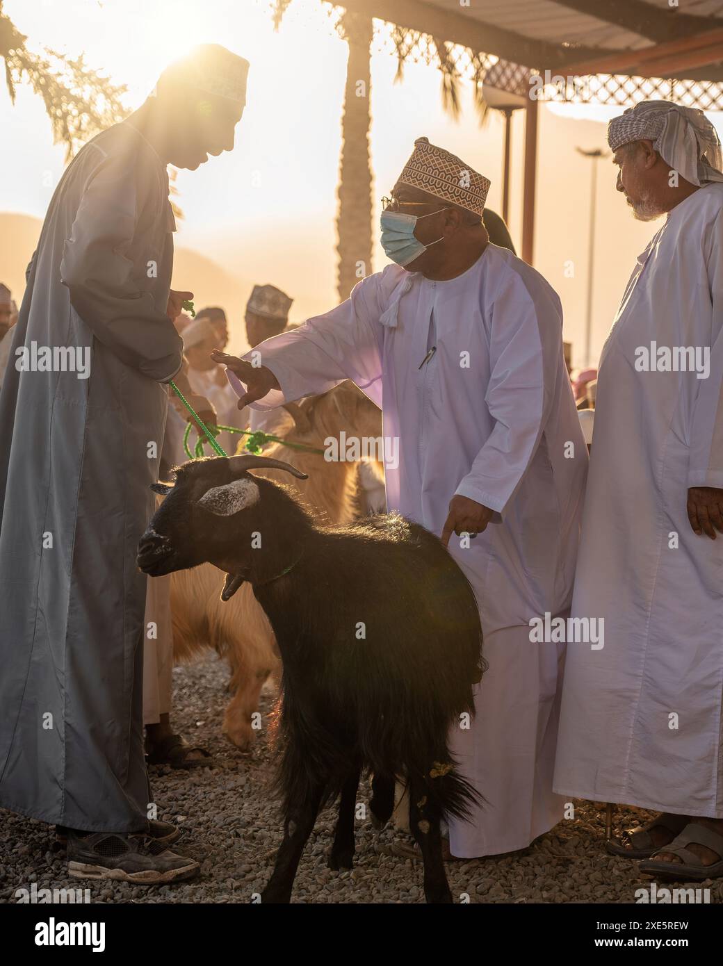 Marché traditionnel aux bovins dans le souk de Nizwa. Vendredi matin, les gens se rassemblent au marché de Nizwa avant l'Aïd. Aussi connu comme marché du vendredi et souq hapta. Banque D'Images