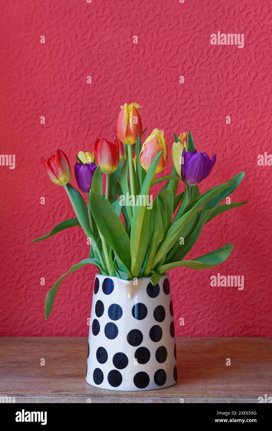 Bouquet coloré de tulipes dans un vase blanc avec des taches noires debout sur un fond rouge texturé Banque D'Images