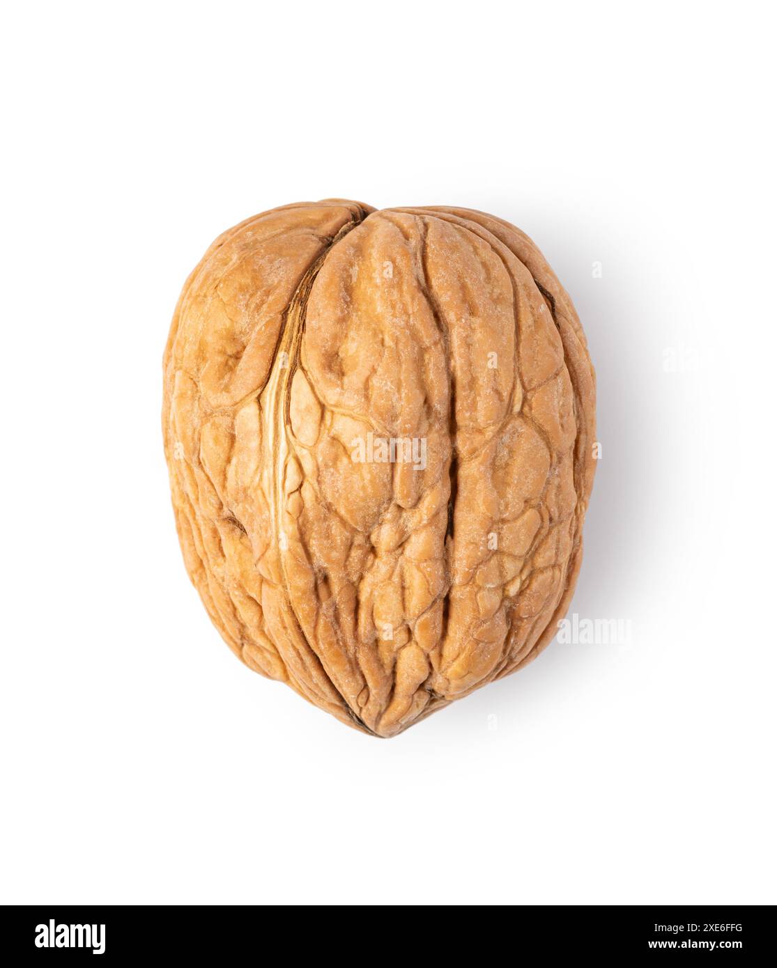 Noix sur fond blanc Banque D'Images