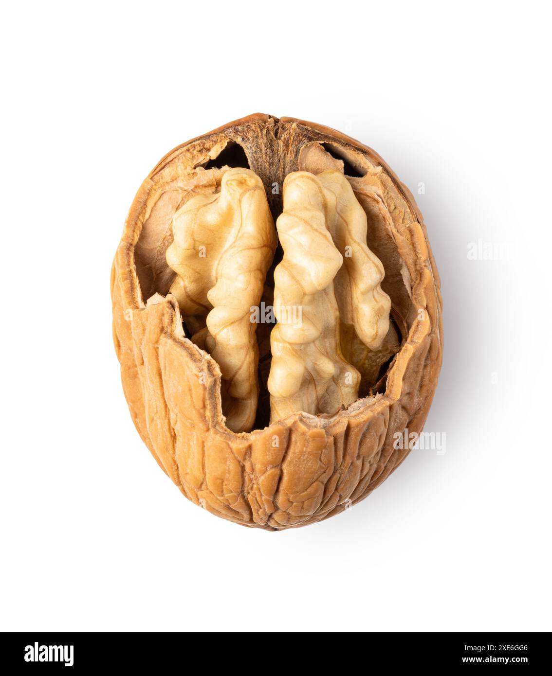 Noix sur fond blanc Banque D'Images