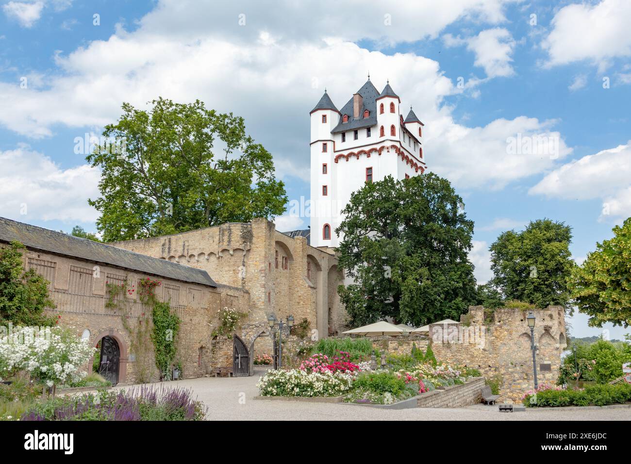 Le Kurfuerstliche Burg est un château de ville à Eltville am Rhein dans le quartier Rheingau-Taunus de Hesse et le monument de la ville Banque D'Images