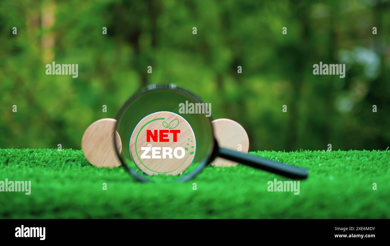 Une loupe est placée sur une surface verte avec les mots Net Zero écrit à l'intérieur, CO2 Emission Reduction concept, Clean Environment, Environm Banque D'Images