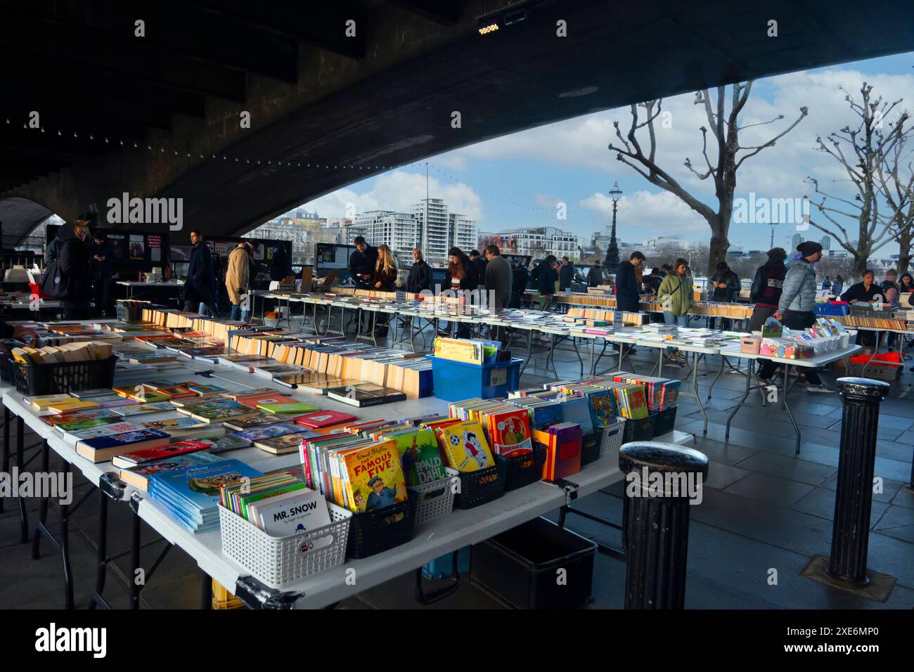 South Bank Book Market le long de la Tamise, Londres, Angleterre, Royaume-Uni, Europe Copyright : fotojourneys 1231-61 Banque D'Images