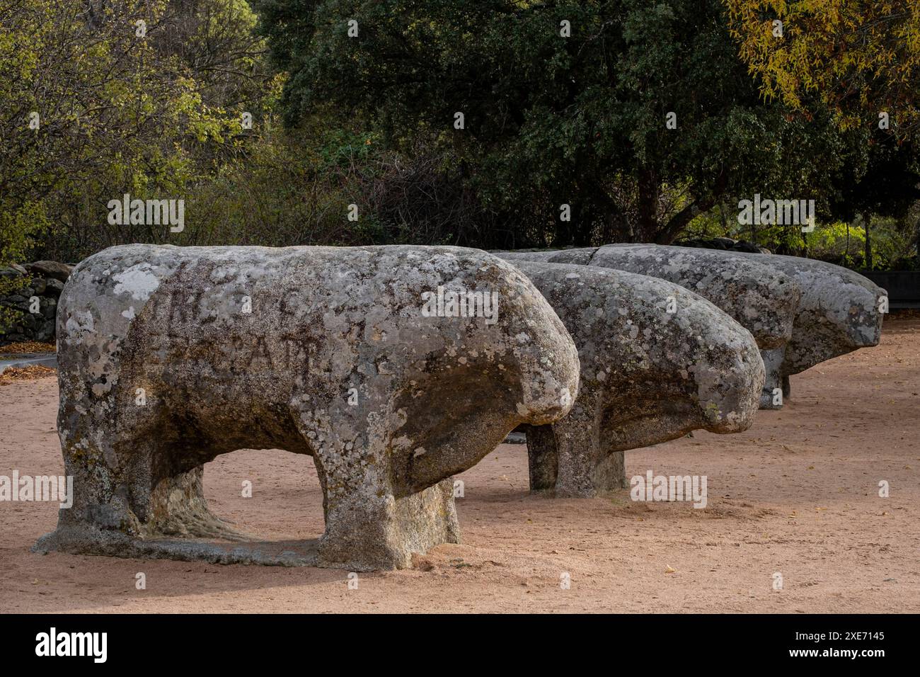 Taureaux de Guisando Banque D'Images