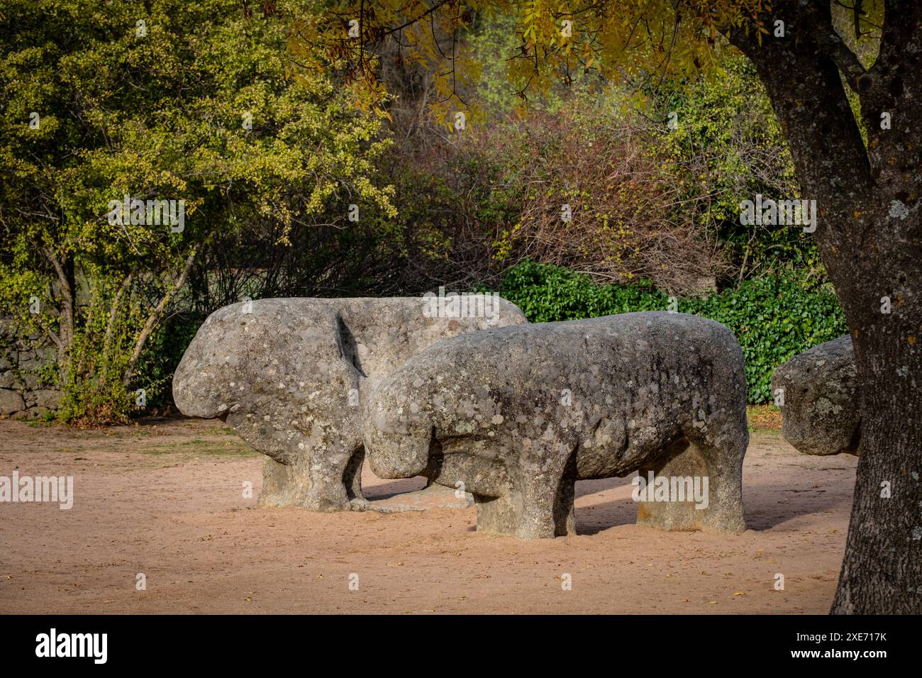 Taureaux de Guisando Banque D'Images