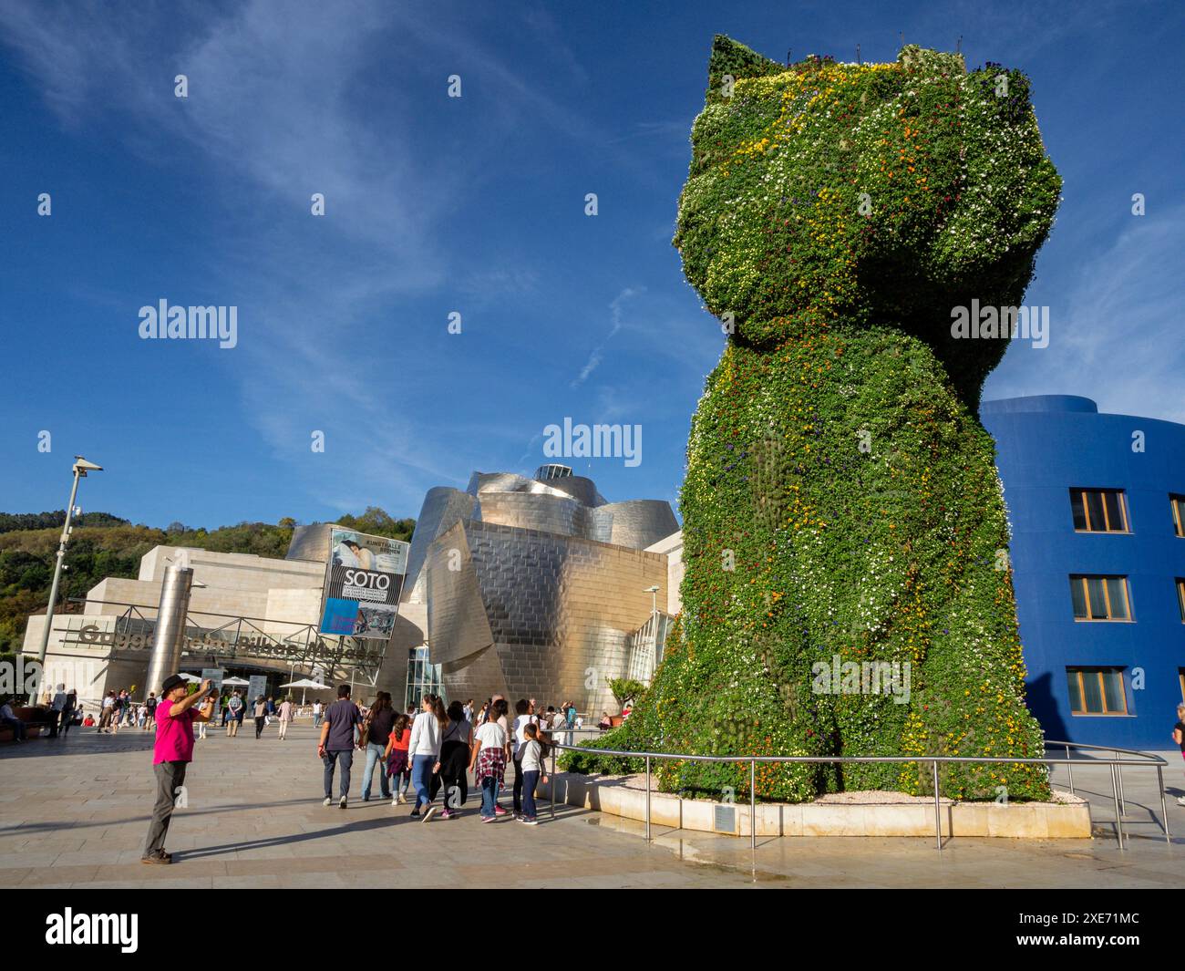 Chiot Banque D'Images