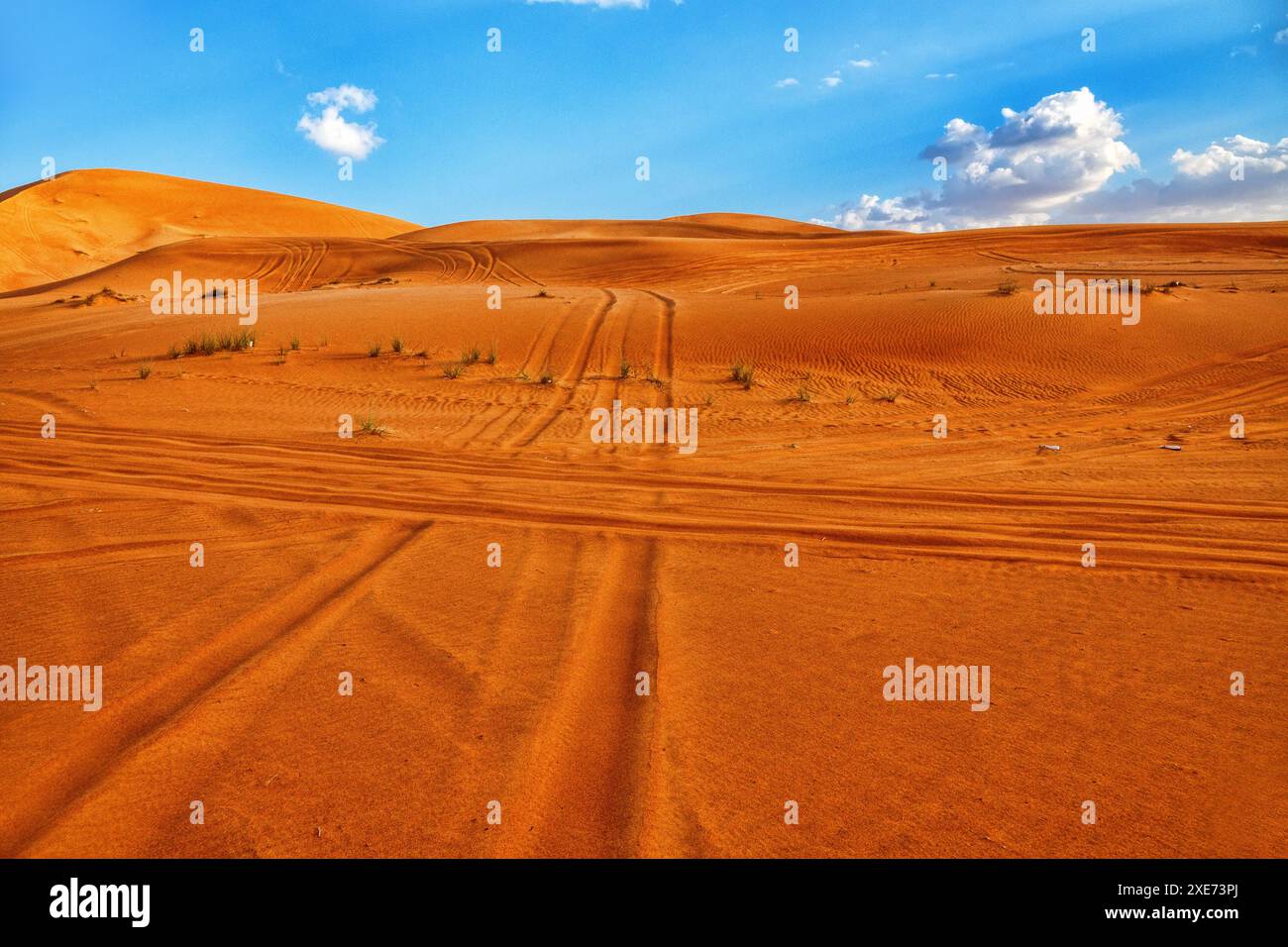 Dune orange dans le désert Banque D'Images