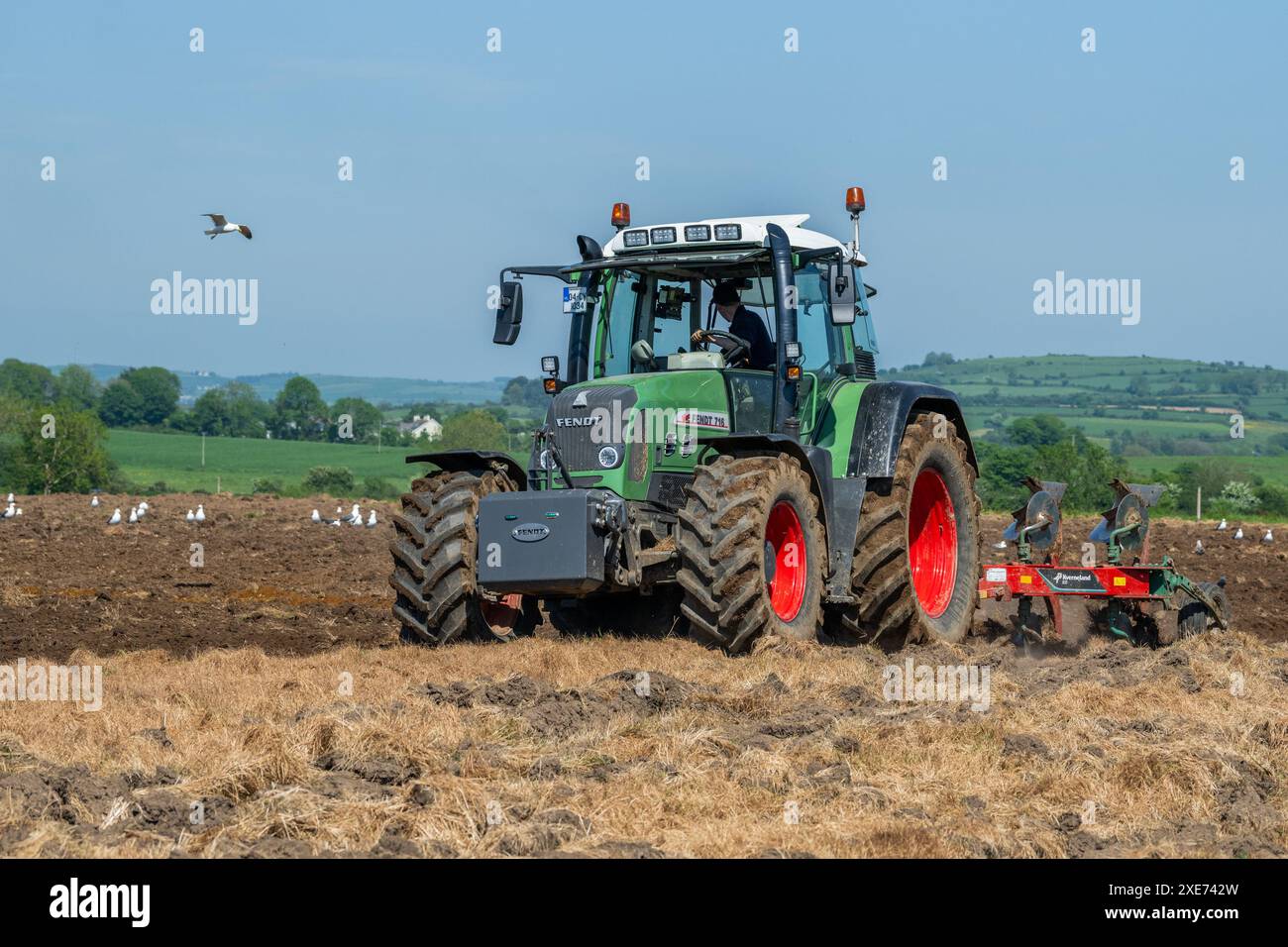 Par une journée chaude et ensoleillée, un entrepreneur agricole laboure des terres prêtes pour les semences d'herbe dans une ferme laitière avec un tracteur Fendt 716 et une charrue Kverneland 4 sillons. Banque D'Images