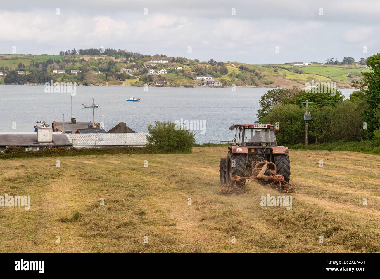 Un agriculteur basé à Schull tourne l'herbe coupée pour faire du foin à l'aide d'un tracteur case 4230 avec Schull Harbour, West Cork, Irlande comme toile de fond. Banque D'Images
