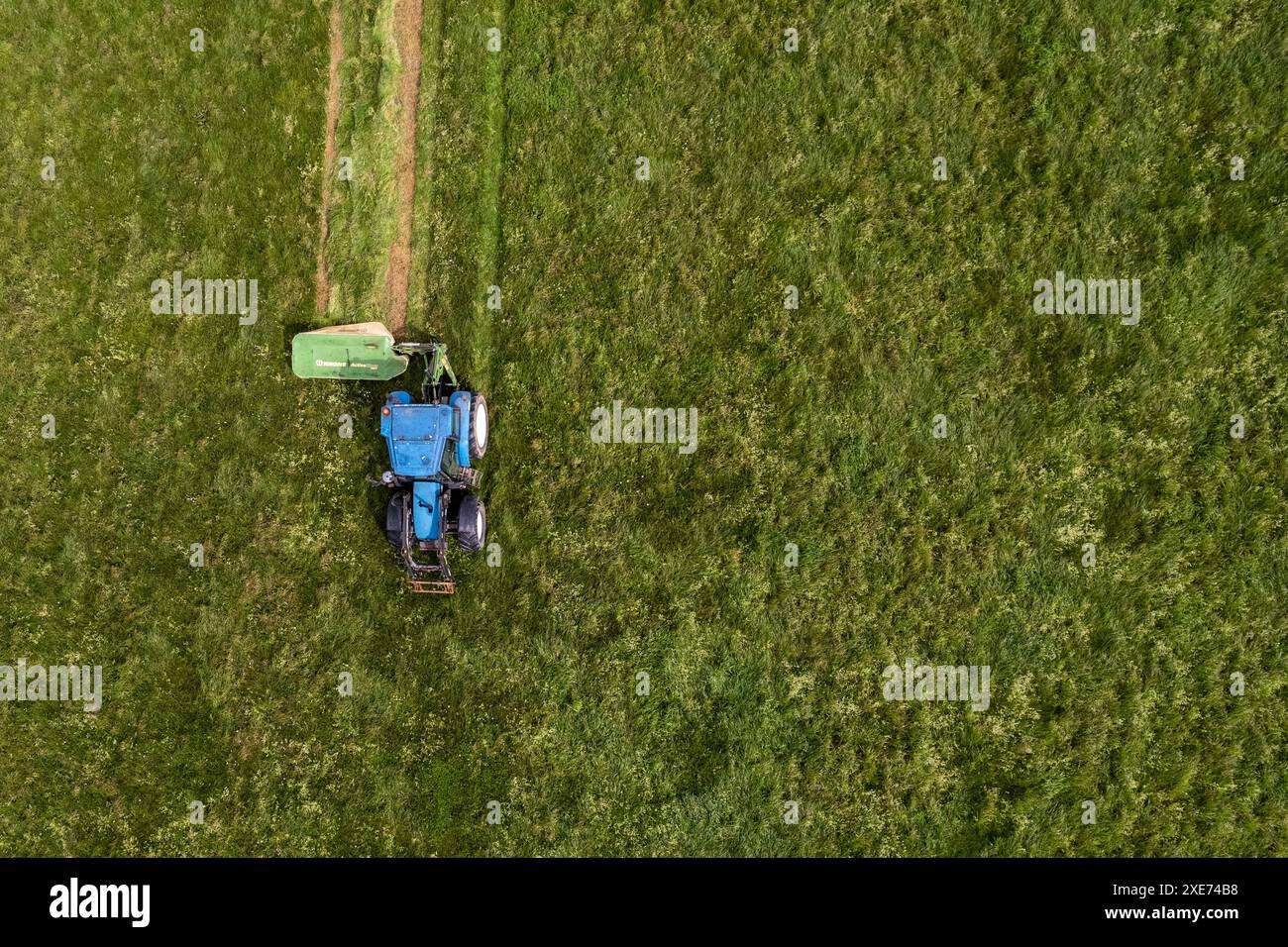 Knocknageehy, West Cork, Irlande. 22 avril 2024. Après des mois de fortes pluies, les agriculteurs coupent enfin l'herbe pour l'ensilage. Éleveur de boeuf pedigree, Keit Banque D'Images