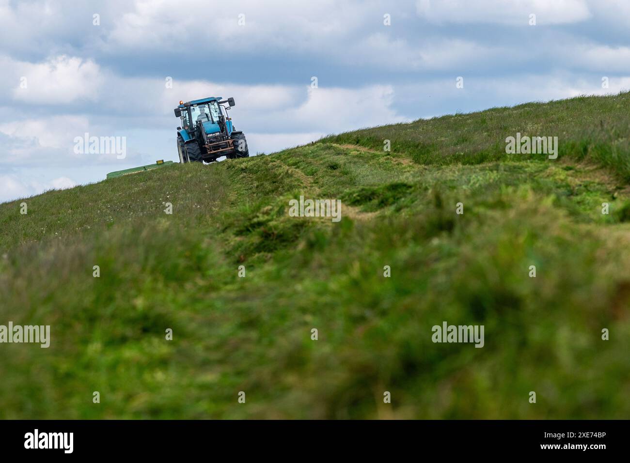 Knocknageehy, West Cork, Irlande. 22 avril 2024. Après des mois de fortes pluies, les agriculteurs coupent enfin l'herbe pour l'ensilage. Éleveur de boeuf pedigree, Keit Banque D'Images