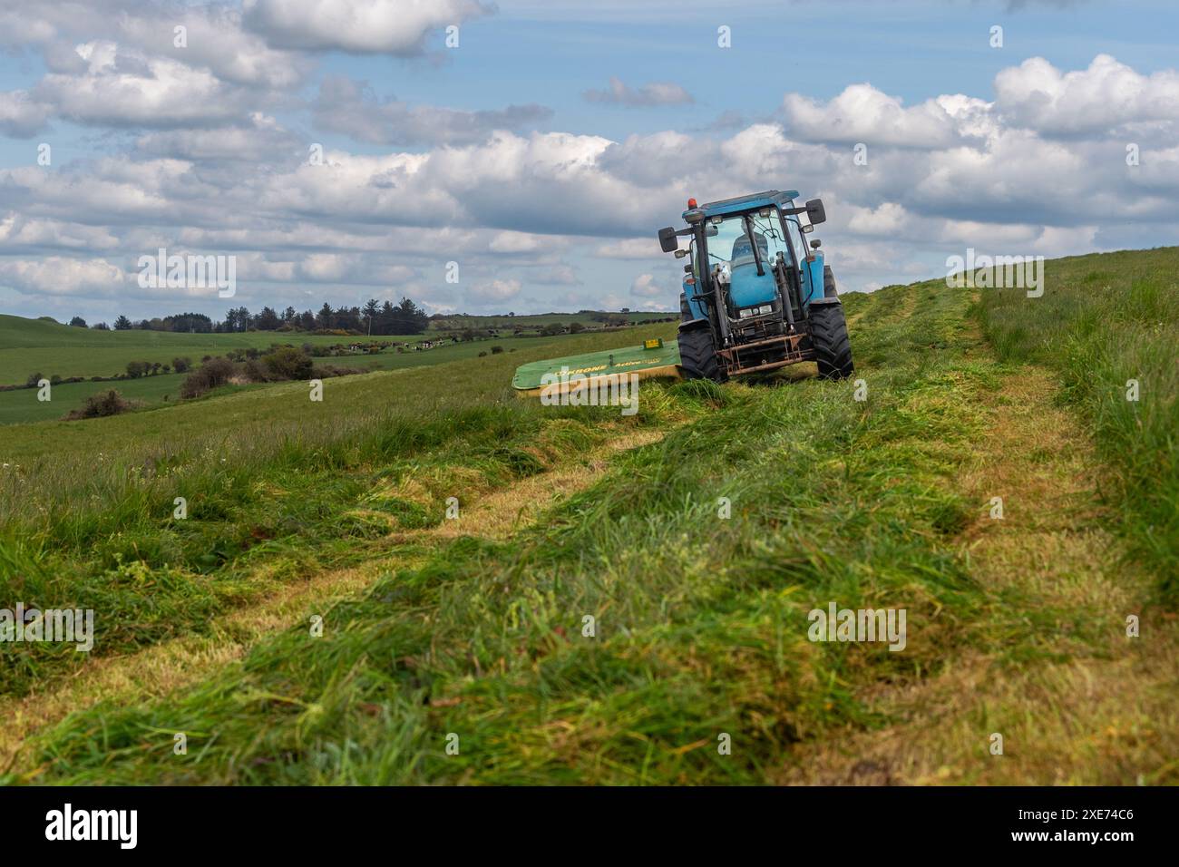 Knocknageehy, West Cork, Irlande. 22 avril 2024. Après des mois de fortes pluies, les agriculteurs coupent enfin l'herbe pour l'ensilage. Éleveur de boeuf pedigree, Keit Banque D'Images