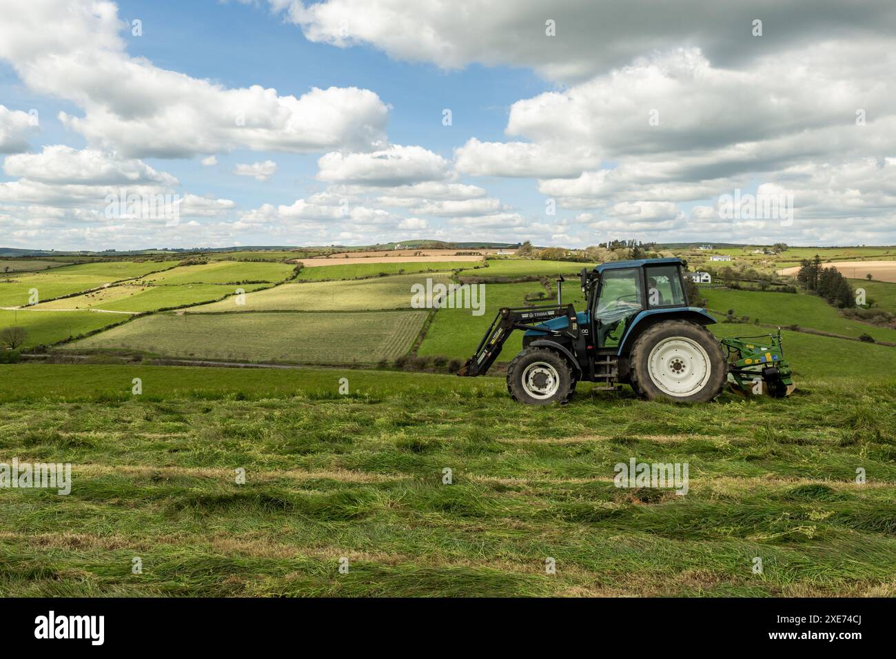 Knocknageehy, West Cork, Irlande. 22 avril 2024. Après des mois de fortes pluies, les agriculteurs coupent enfin l'herbe pour l'ensilage. Éleveur de boeuf pedigree, Keit Banque D'Images