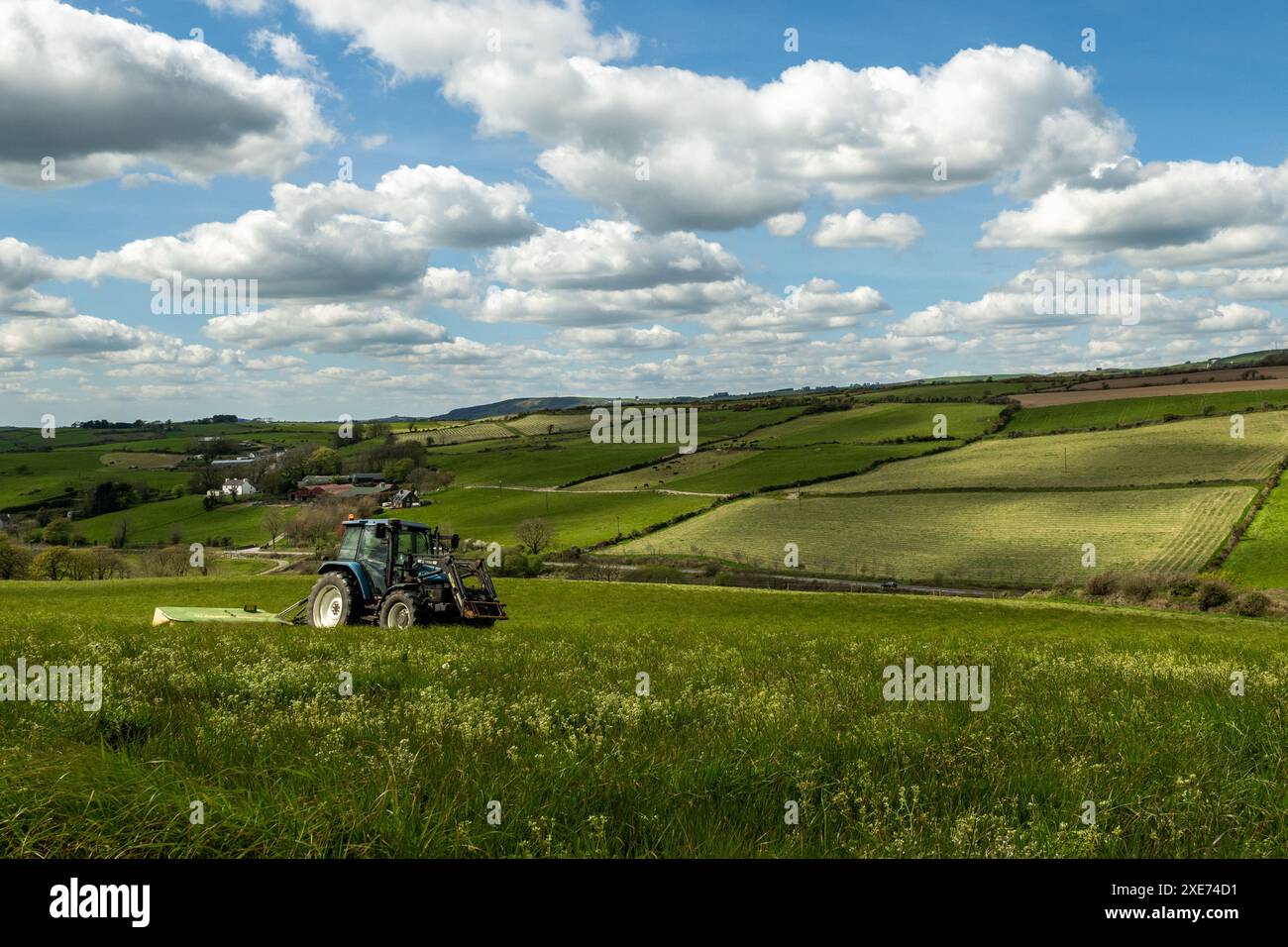 Knocknageehy, West Cork, Irlande. 22 avril 2024. Après des mois de fortes pluies, les agriculteurs coupent enfin l'herbe pour l'ensilage. Éleveur de boeuf pedigree, Keit Banque D'Images
