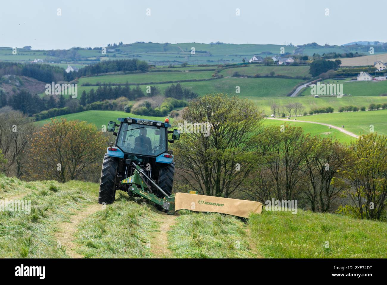 Knocknageehy, West Cork, Irlande. 22 avril 2024. Après des mois de fortes pluies, les agriculteurs coupent enfin l'herbe pour l'ensilage. Éleveur de boeuf pedigree, Keit Banque D'Images