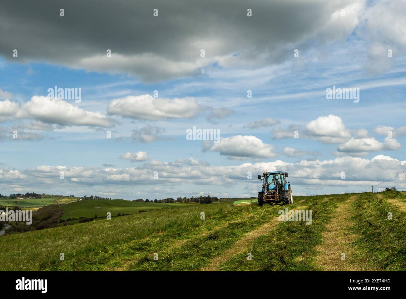 Knocknageehy, West Cork, Irlande. 22 avril 2024. Après des mois de fortes pluies, les agriculteurs coupent enfin l'herbe pour l'ensilage. Éleveur de boeuf pedigree, Keit Banque D'Images