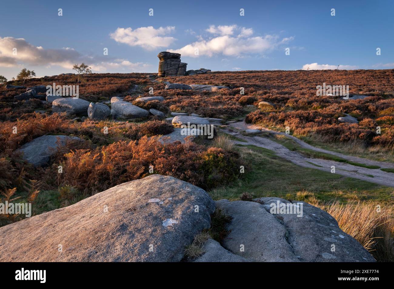 Mère Cap Tor en automne, Hathersage Moor, Peak District National Park, Derbyshire, Angleterre, Royaume-Uni, Europe Banque D'Images