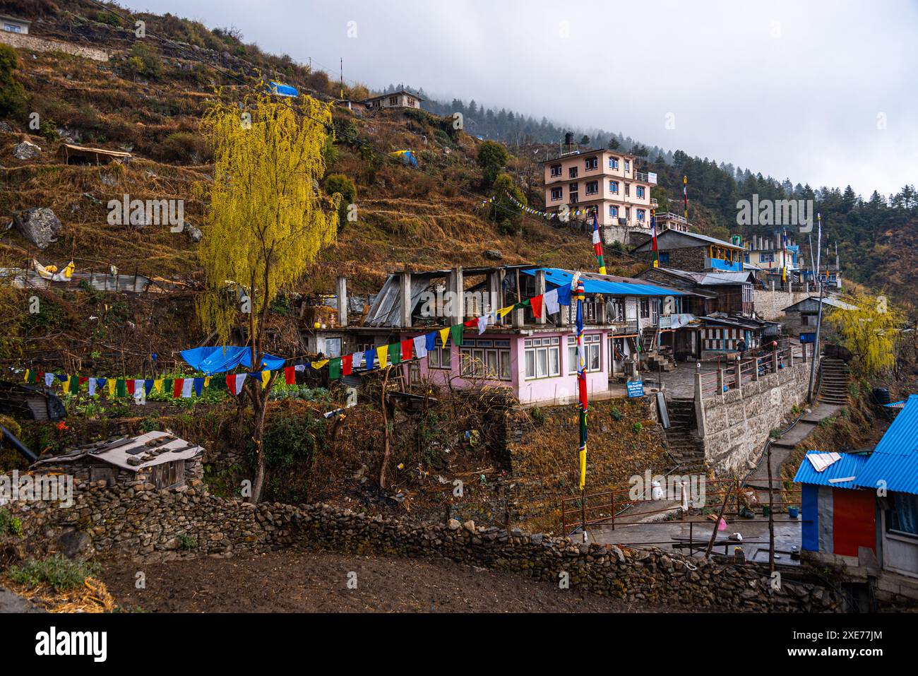 Sherpagaon maisons d'hôtes colorées et terrasses agricoles sur le Langtang Valley Trek, Himalaya, Népal, Asie Banque D'Images