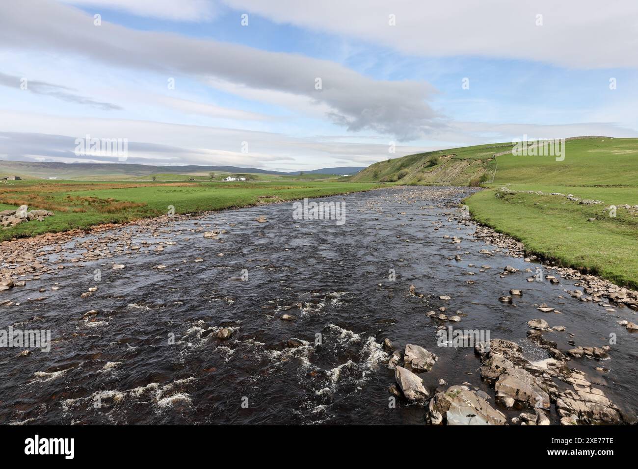 La rivière Tees et la vue en amont de Cronkley Bridge en été, Forest-in-Teesdale, North Pennines, comté de Durham, Royaume-Uni Banque D'Images