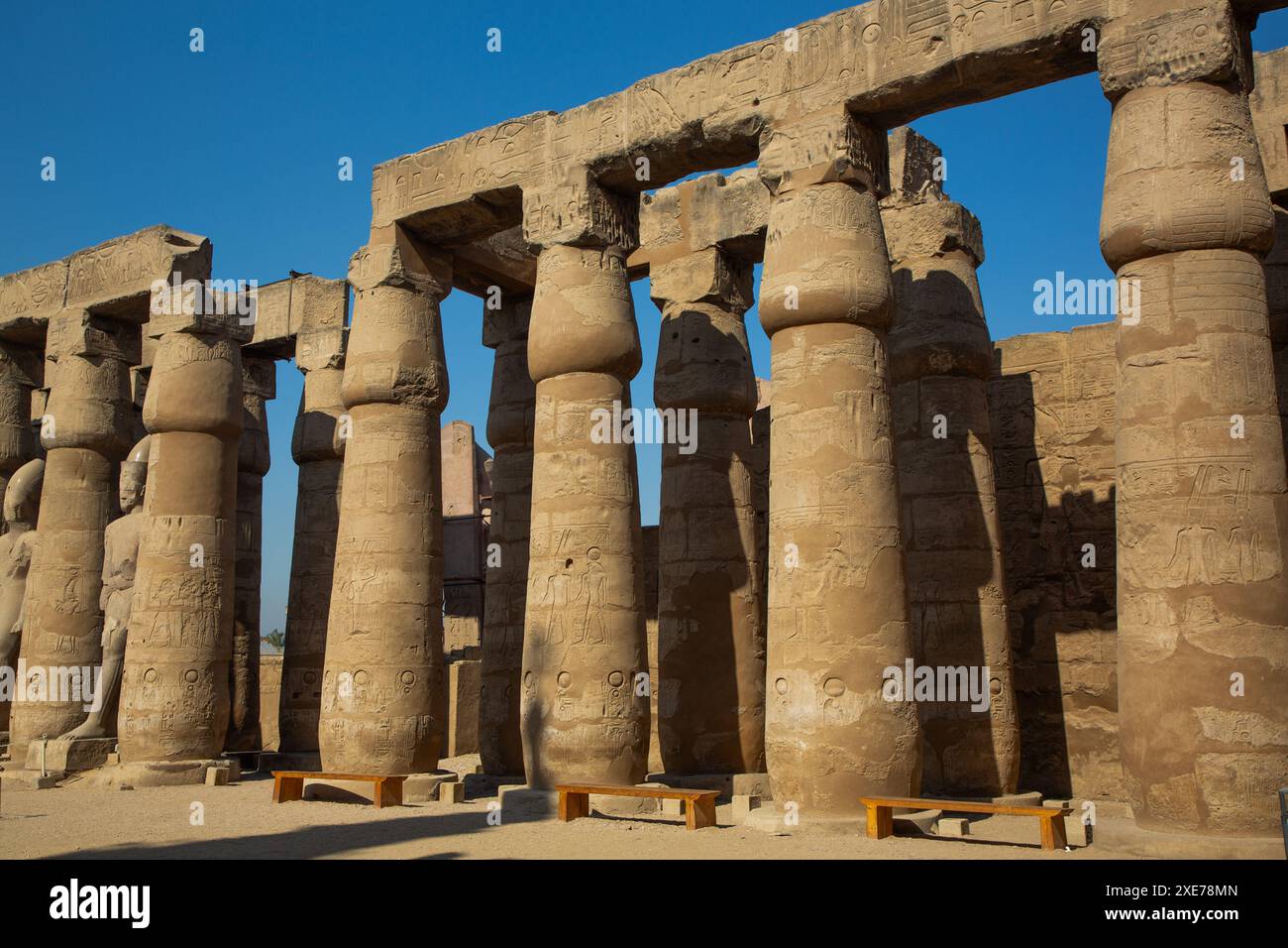 Colonnes de papyrus, Cour de Ramsès II, Temple de Louxor, site du patrimoine mondial de l'UNESCO, Louxor, Egypte, Afrique du Nord, Afrique Banque D'Images