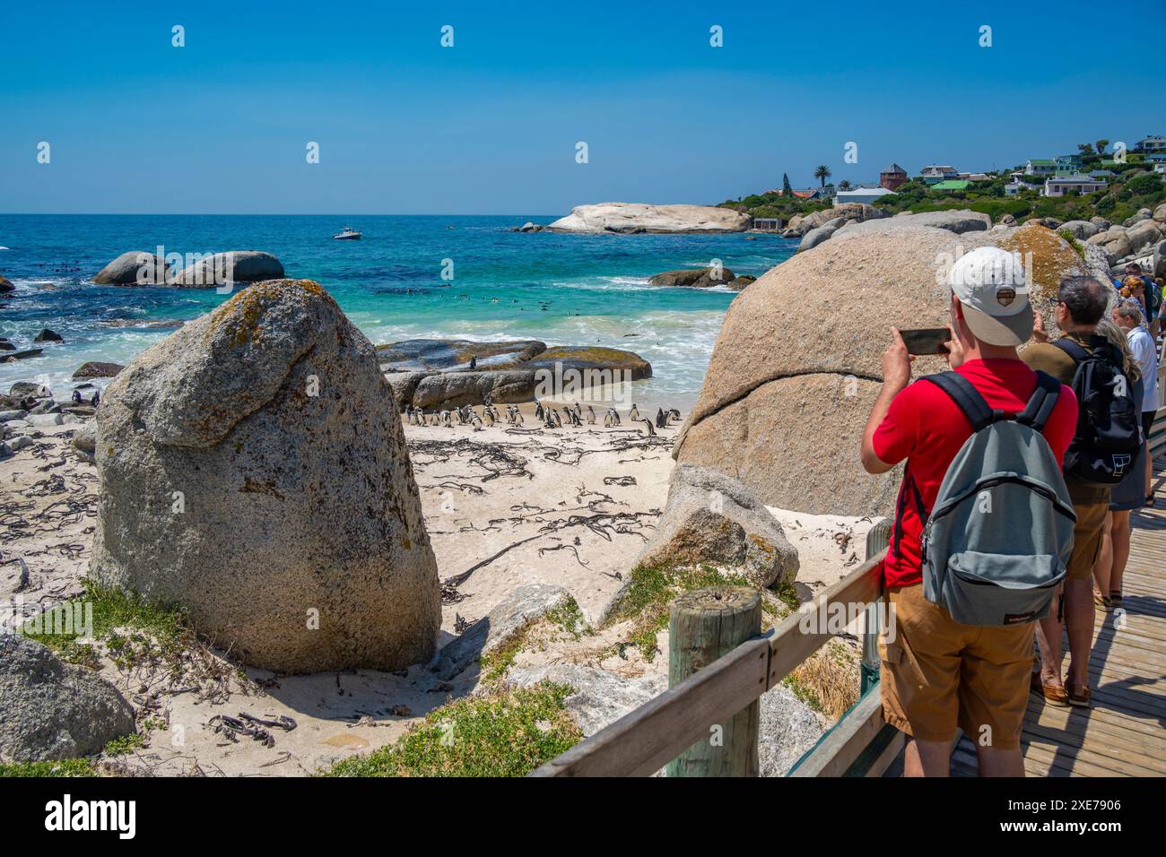 Les gens regardant les pingouins africains sur Boulders Beach, Seaforth, table Mountain National Park, Cape Town, Western Cape, Afrique du Sud, Afrique Banque D'Images