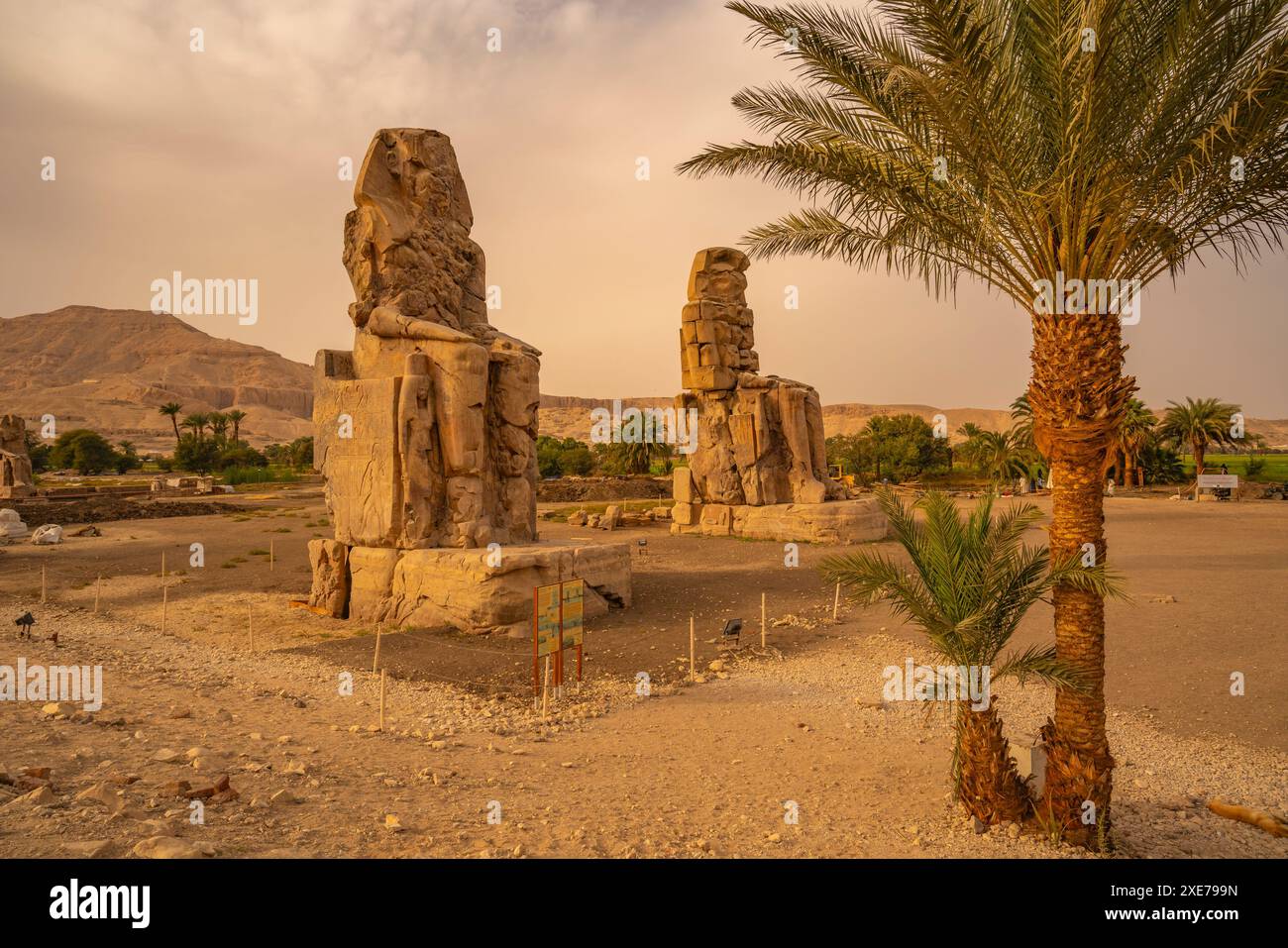 Vue des colosses de Memnon, statues assises près de la Vallée des Rois, site du patrimoine mondial de l'UNESCO, Thèbes, Egypte, Afrique du Nord, Afrique Banque D'Images