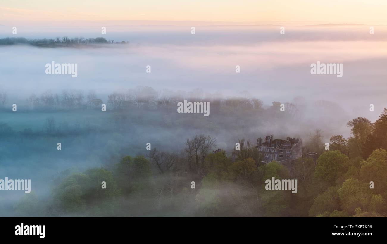 Les ruines du château Berry Pomeroy à l'aube par un matin brumeux, South Devon, Angleterre. Printemps (mai) 2024. Banque D'Images