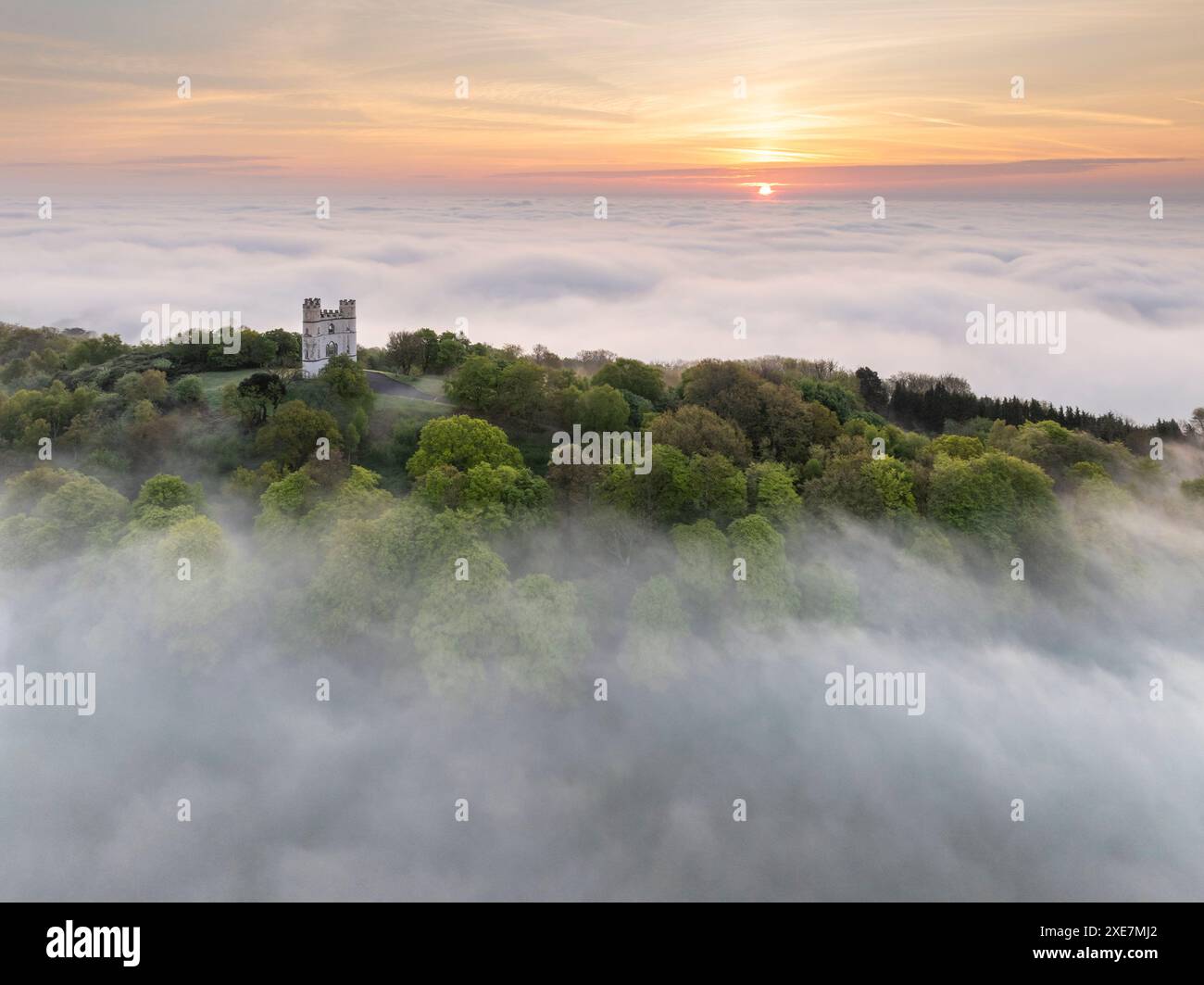Haldon Belvedere (château de Lawrence) à l'aube par un matin brumeux dans le Devon, Angleterre. Printemps (mai) 2024. Banque D'Images