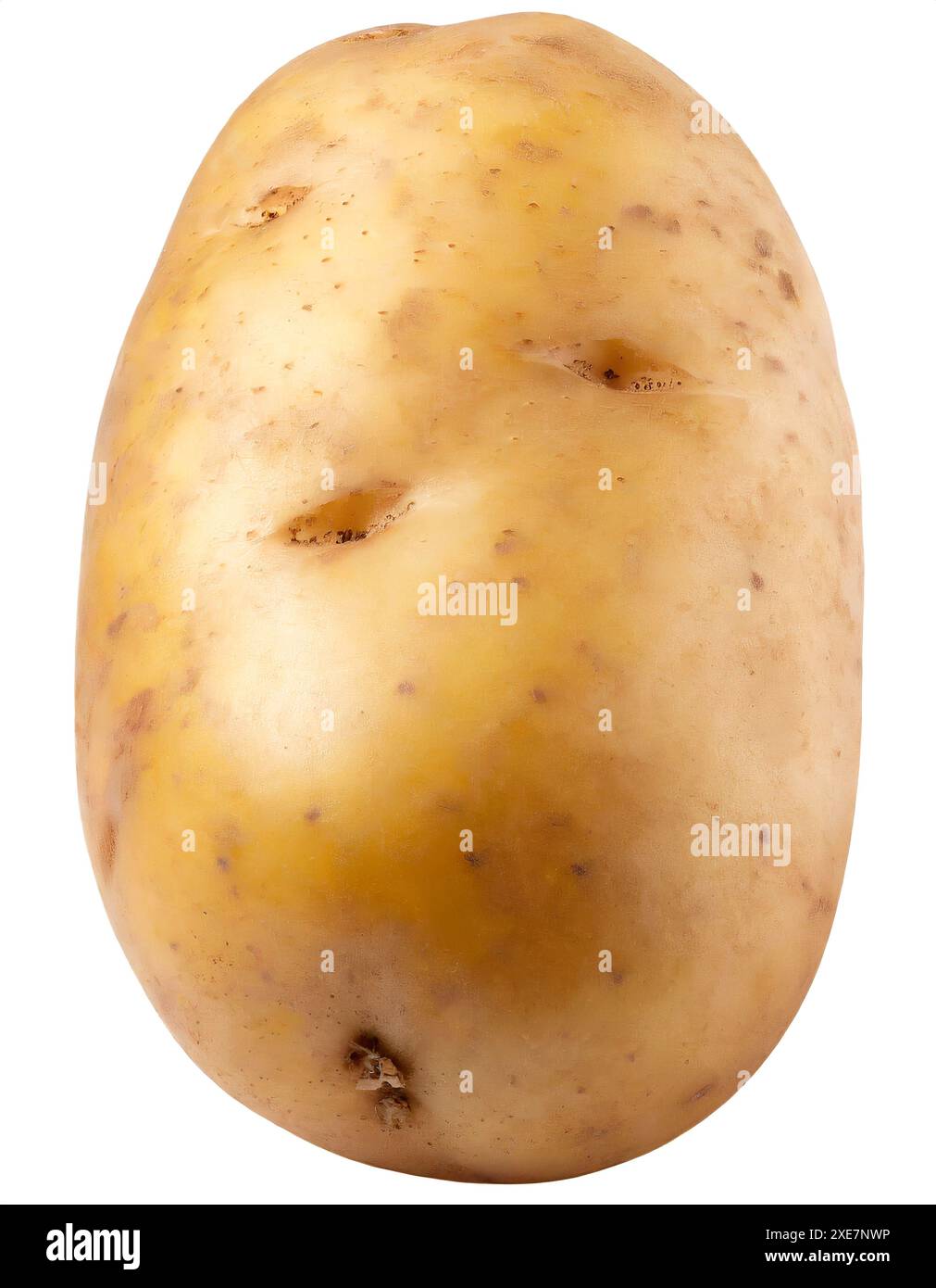 Pomme de terre isolée sur fond blanc. Gros plan. Photographie en studio. Banque D'Images