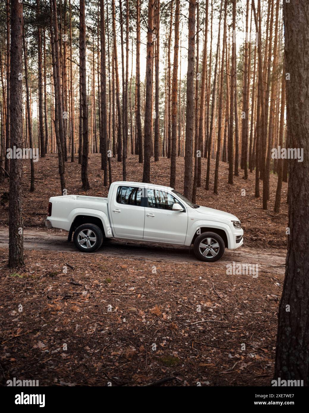 Volkswagen Amarok blanc dans une forêt. Vue de profil latérale du pick-up VW à cabine double dans la forêt de pins au coucher du soleil. Banque D'Images