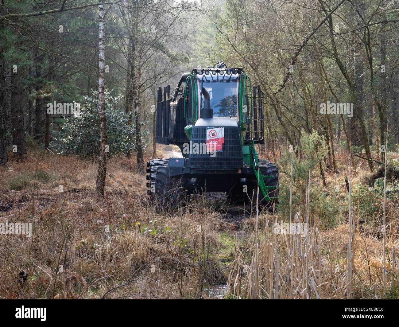 Matériel forestier, transitaire vehical, Wareham Forest, Dorset, Royaume-Uni Banque D'Images